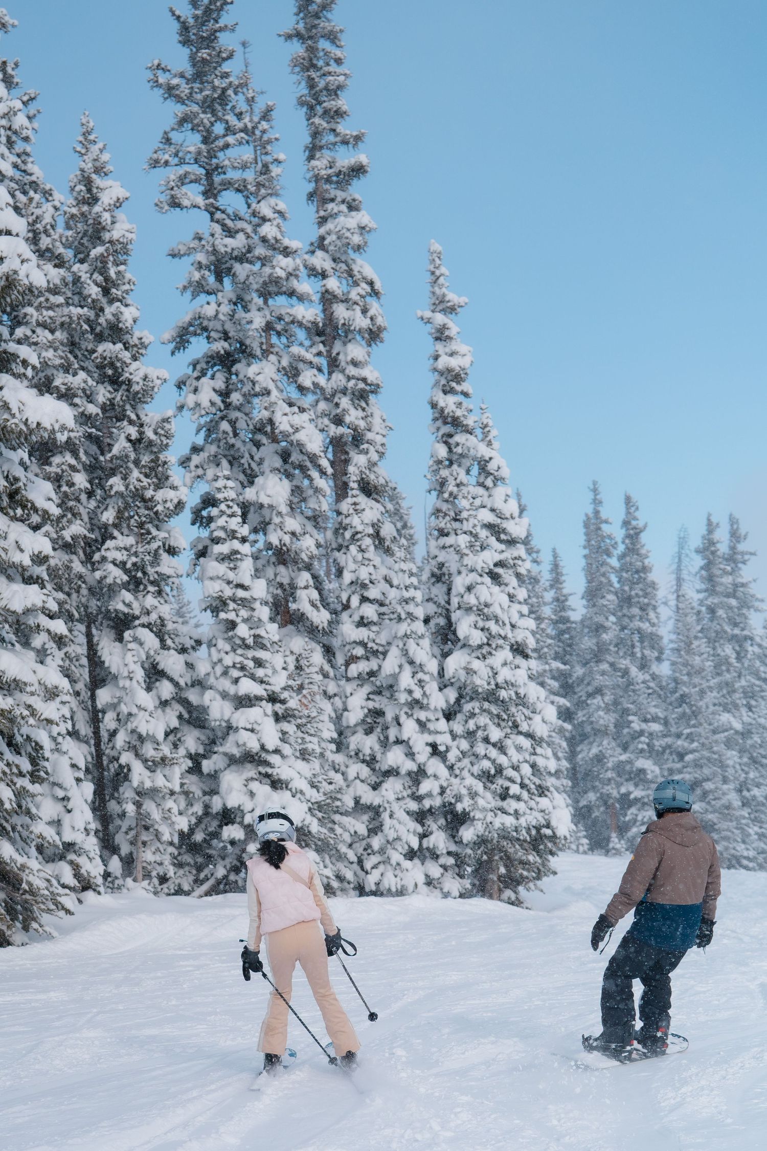 Snowboarders glide down a snowy slope surrounded by frost-covered evergreen trees on a clear winter day.