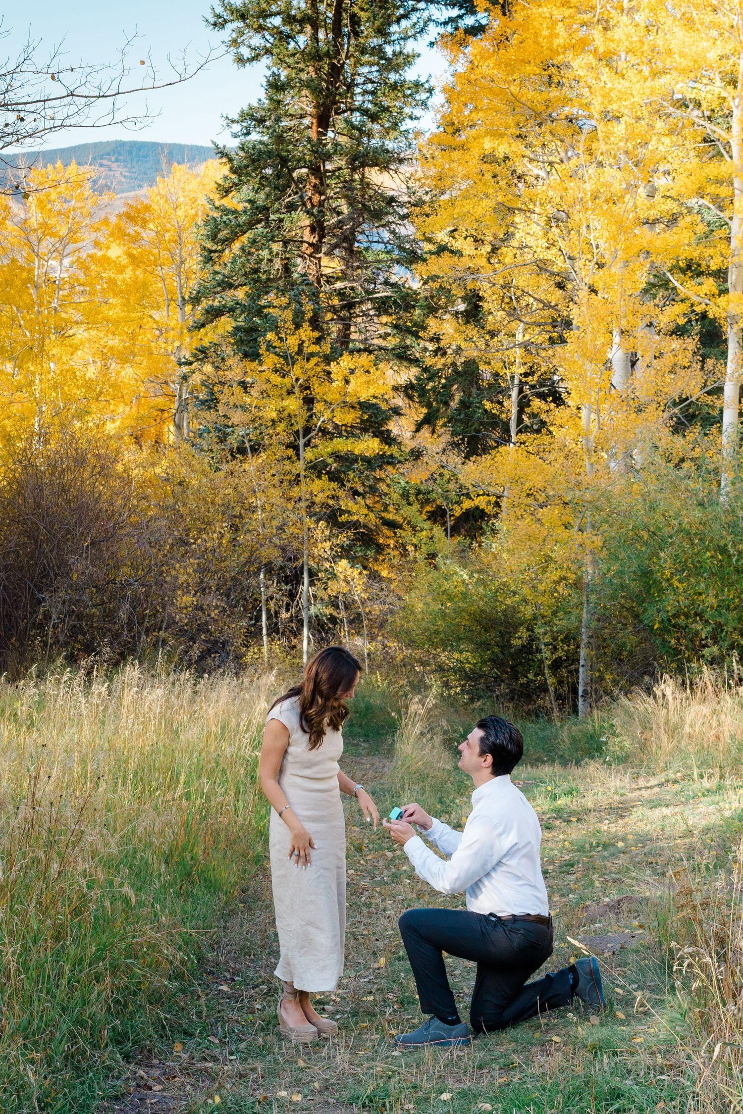 A couple shares a romantic moment in a scenic autumn setting with golden aspen trees and tall grass.