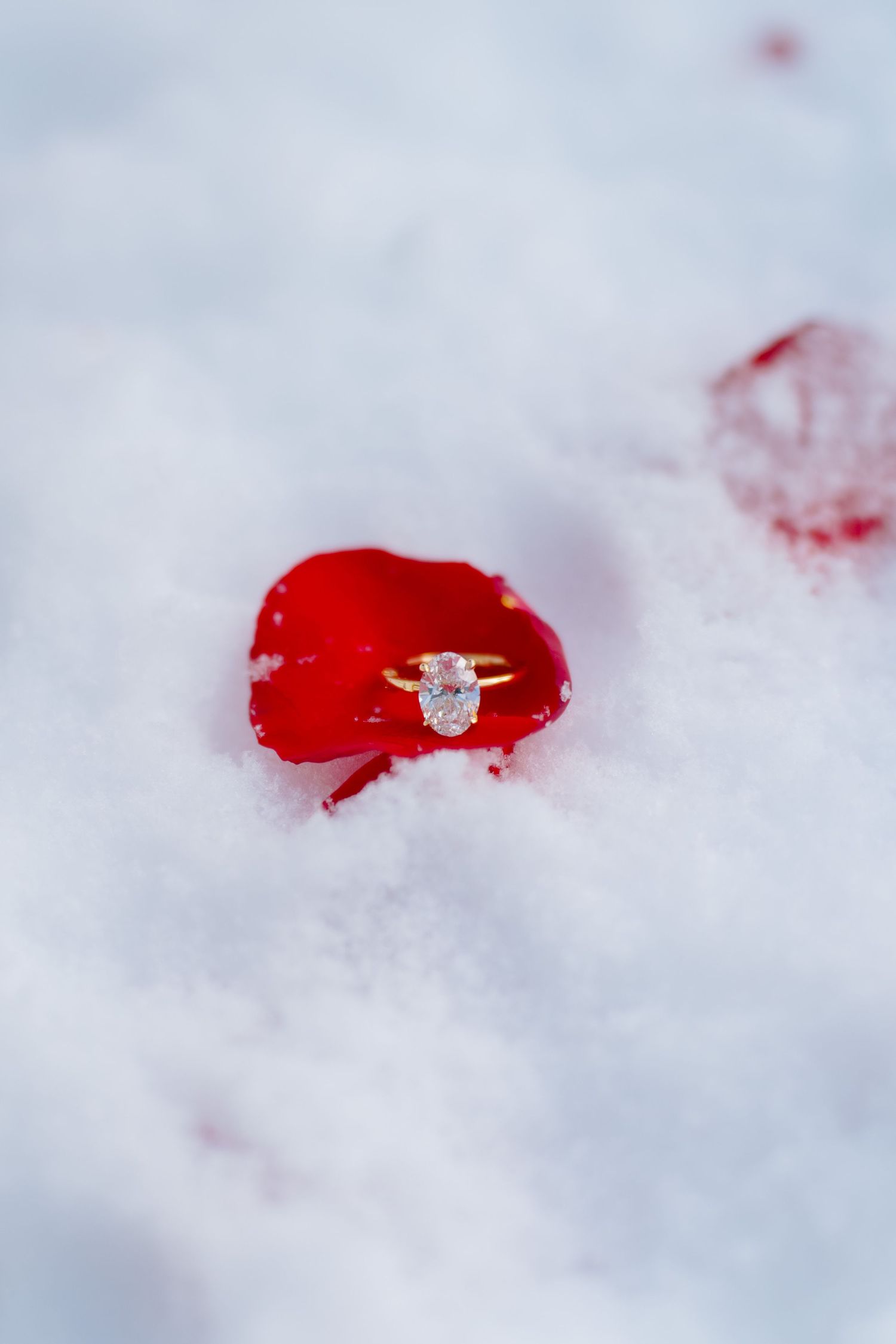 guy proposes to girl on mountain in beaver creek