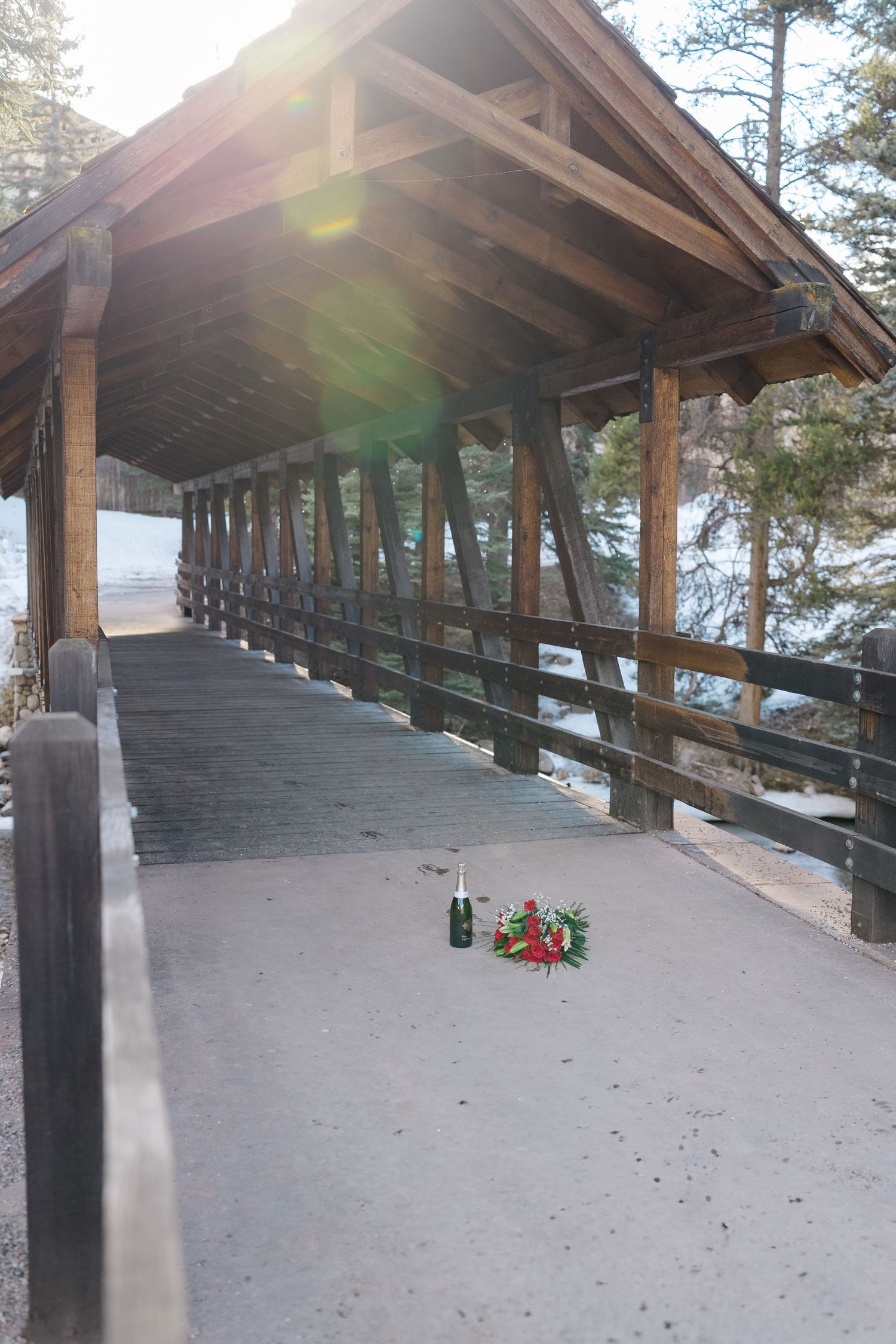 A covered wooden bridge walkway with a curved ramp leading upwards through pine trees in winter sunlight.