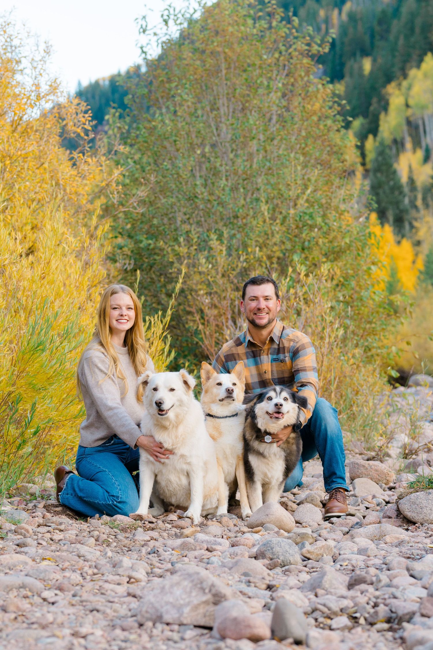 A couple poses with their three dogs among fall foliage in a rocky mountain setting.