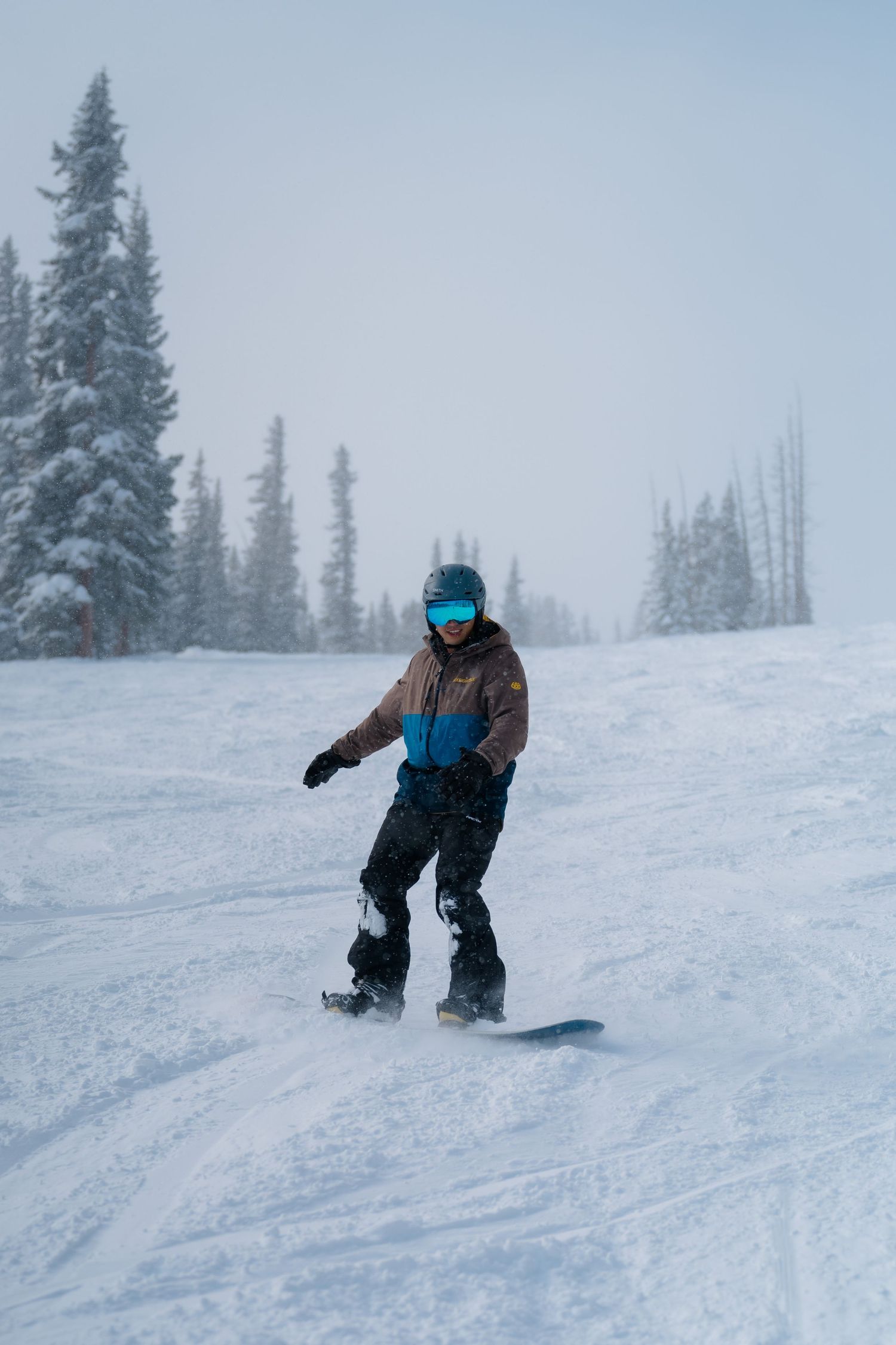 Snowboarder carves down a snowy mountain slope through evergreen trees on a foggy winter day.