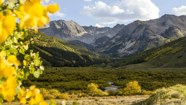 Scenic mountain valley with yellow wildflowers at one of Aspen's best wedding venues