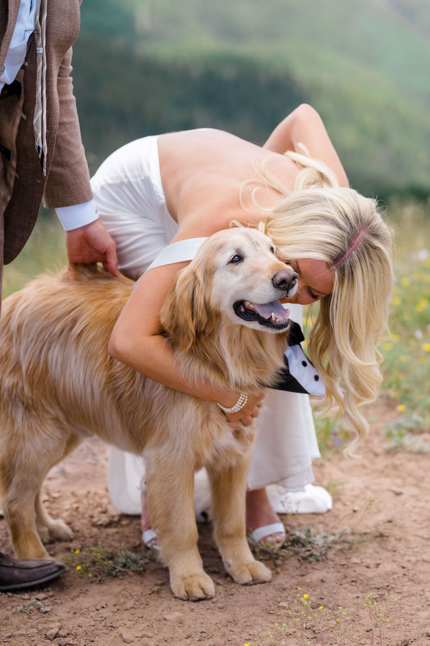 Bride in white dress kissing her golden retriever dog wearing a tuxedo collar at an outdoor wedding.