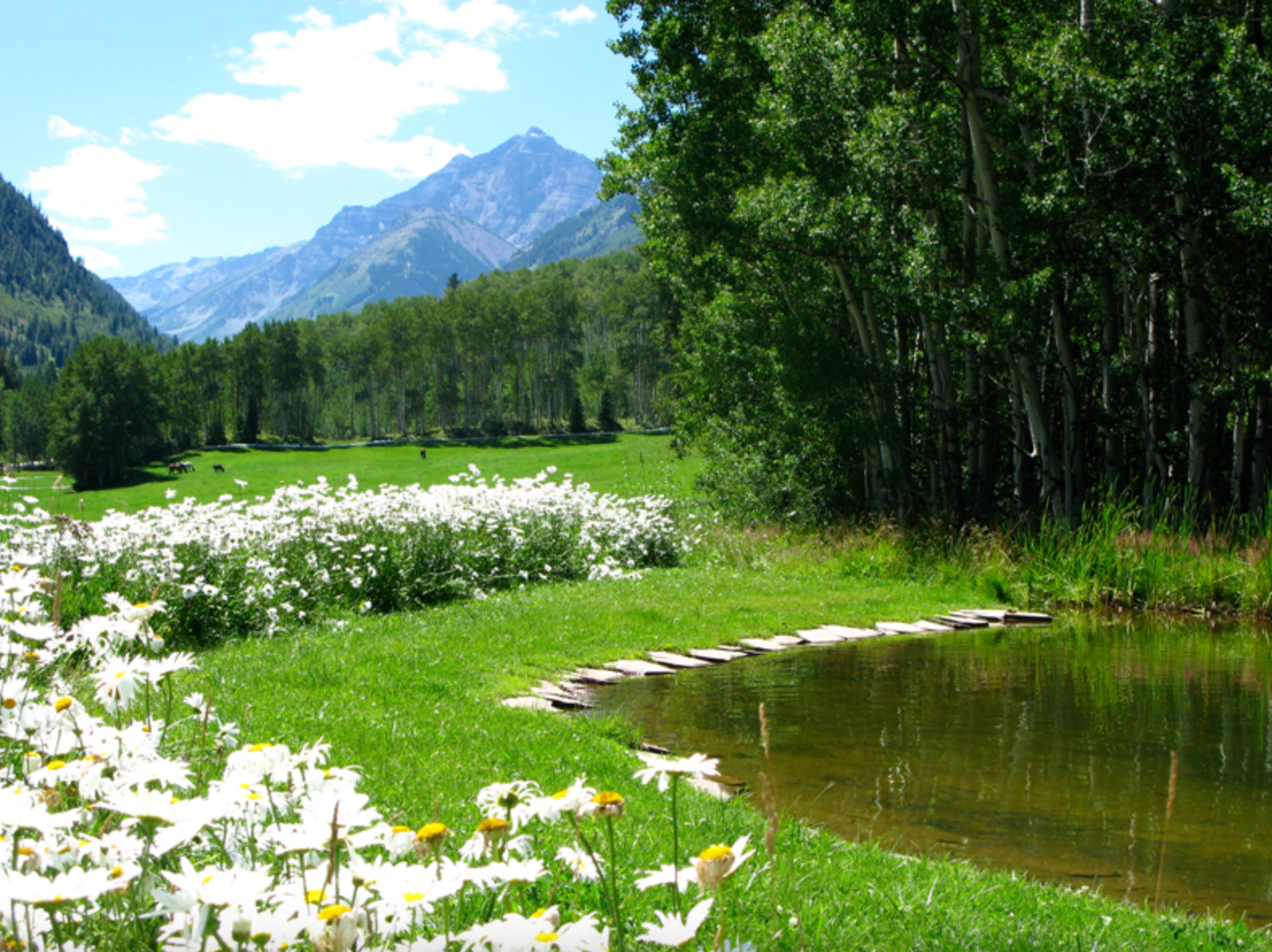 Scenic mountain landscape at a top Aspen wedding venue