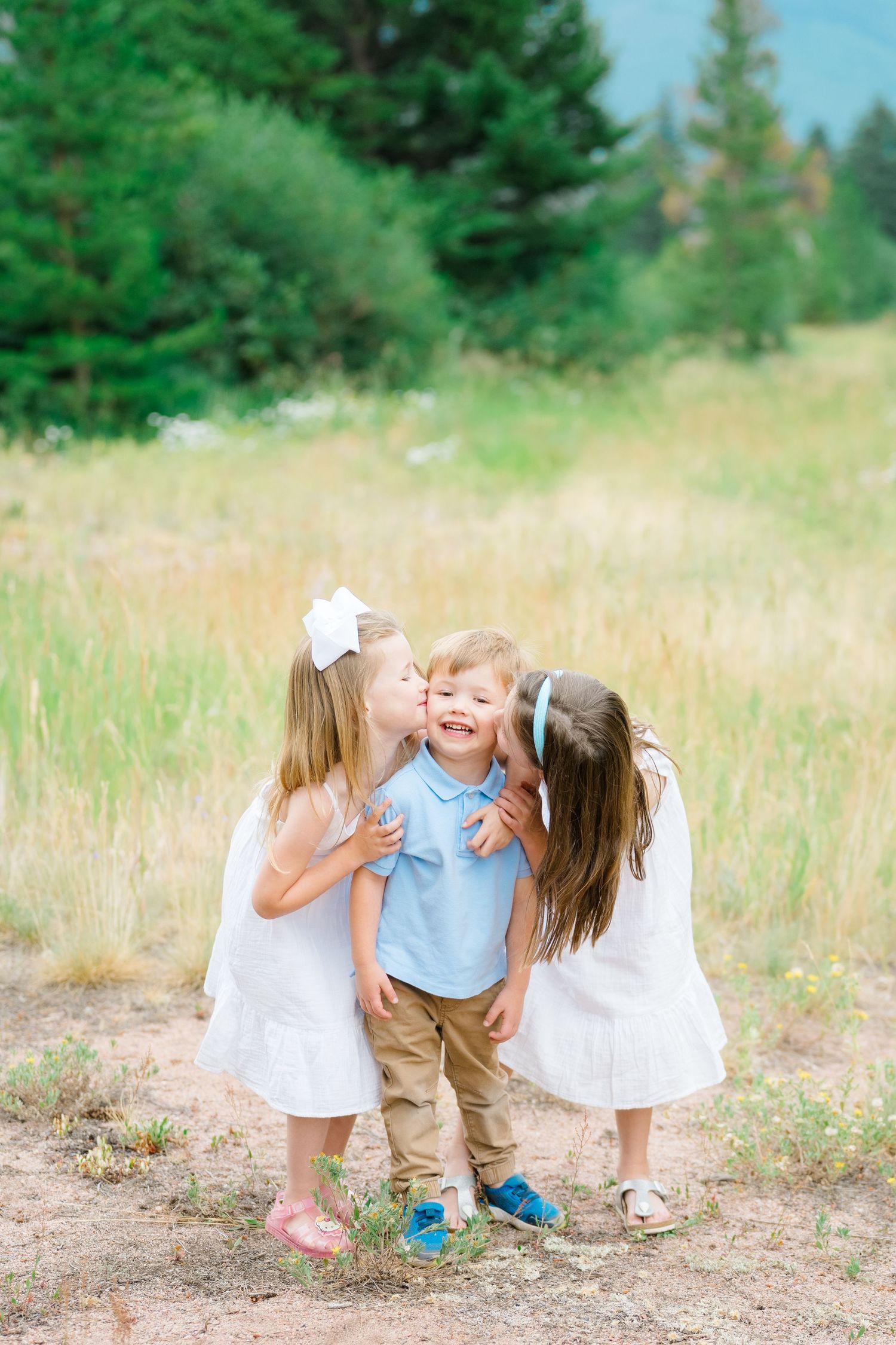 Children play and laugh together in a sunlit meadow surrounded by evergreen trees.