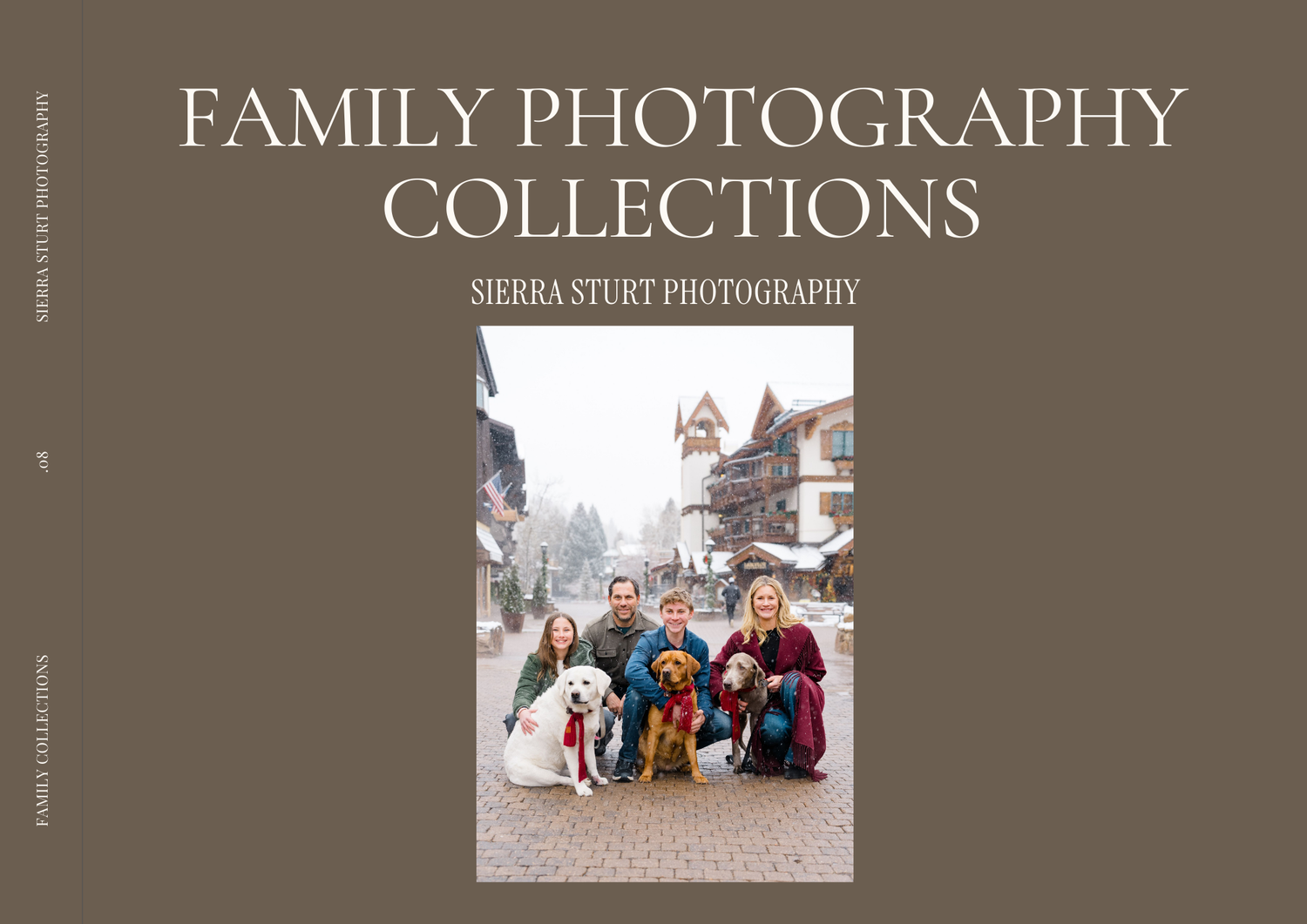A brown banner displaying 'Family Photography Collections' with a row of sample photos underneath.
