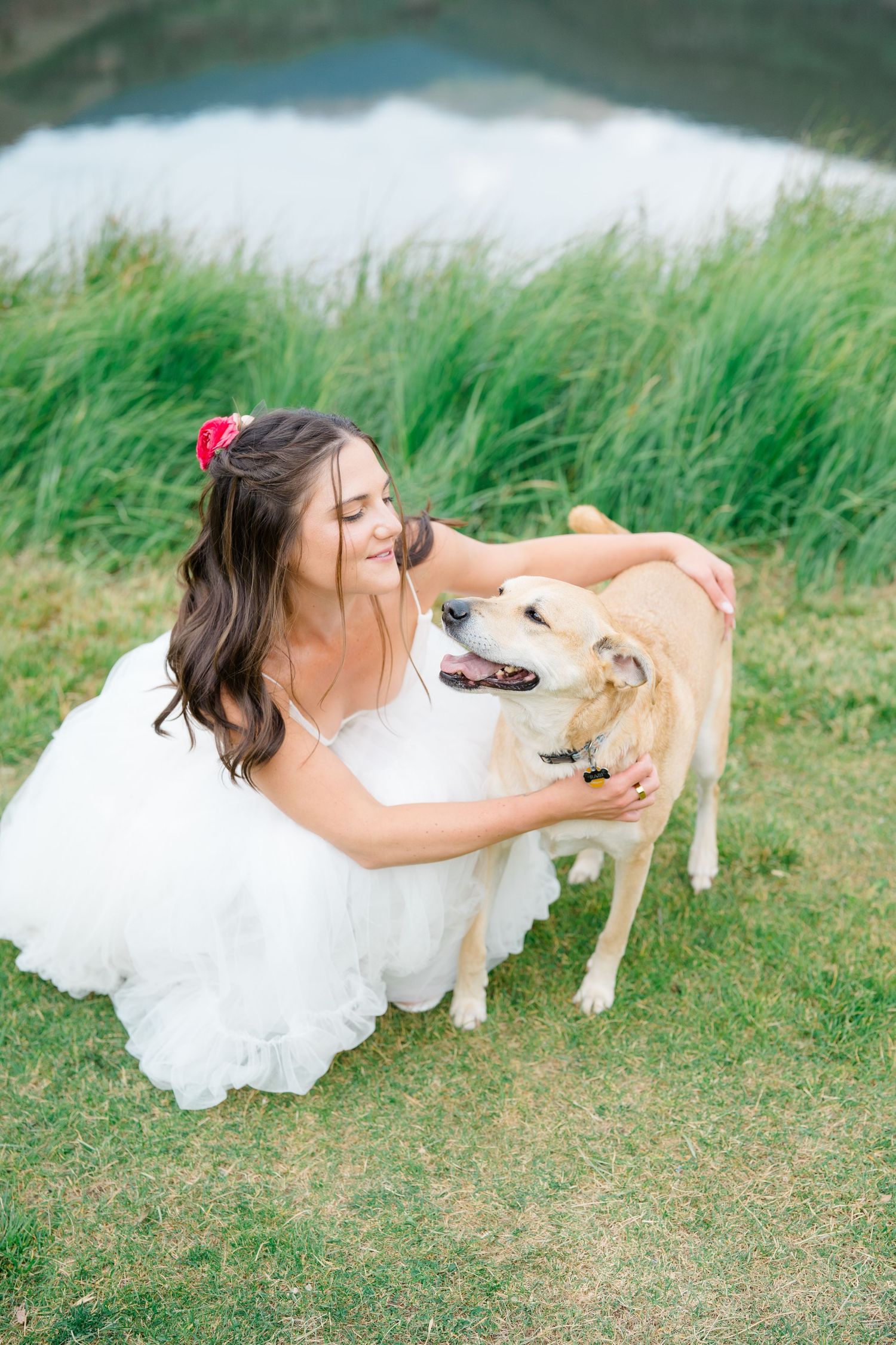 Bride in white wedding dress playing with a friendly dog on grassy field.