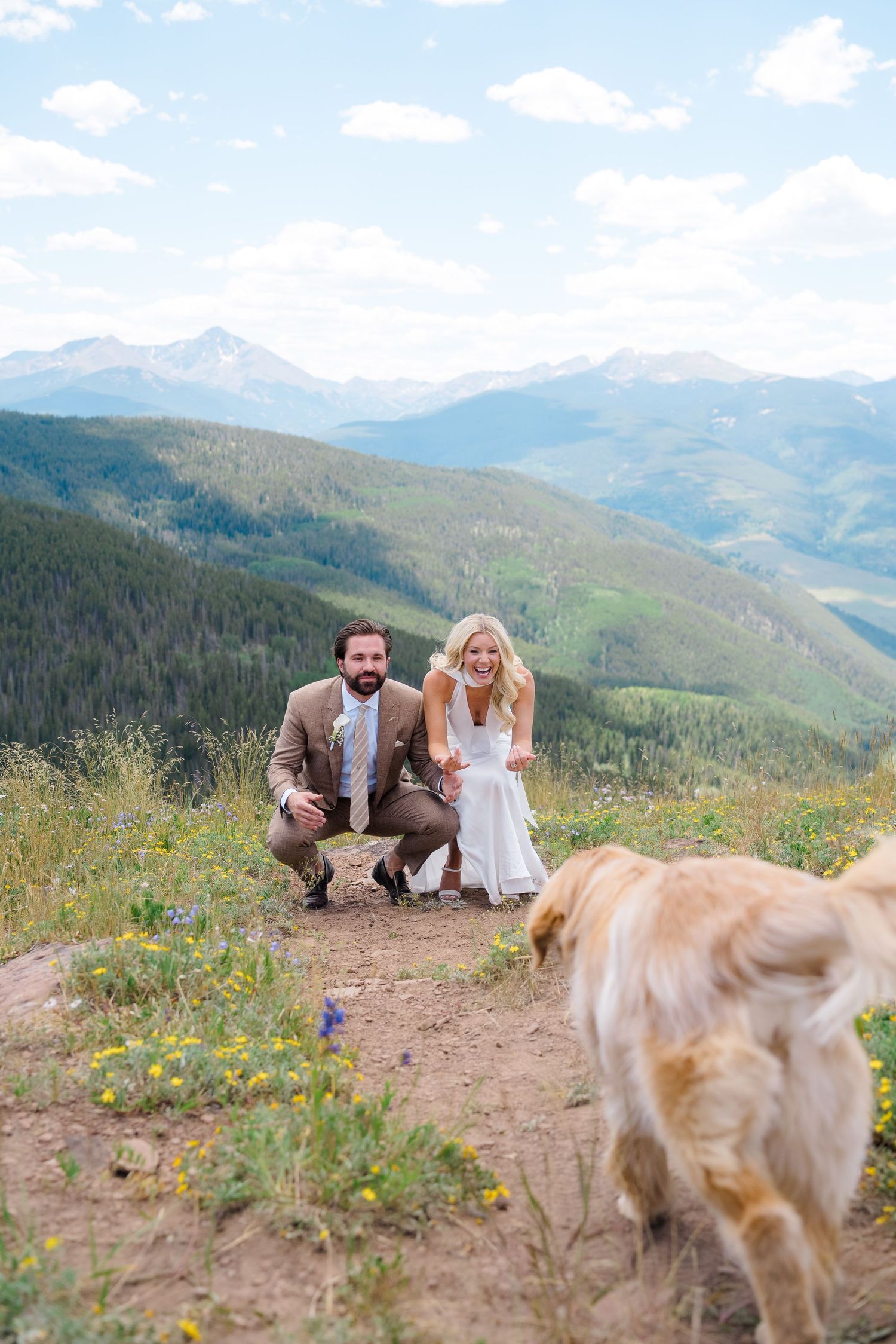 Bride and groom crouch down to greet their golden retriever dog on a mountain overlook during their Colorado wedding.