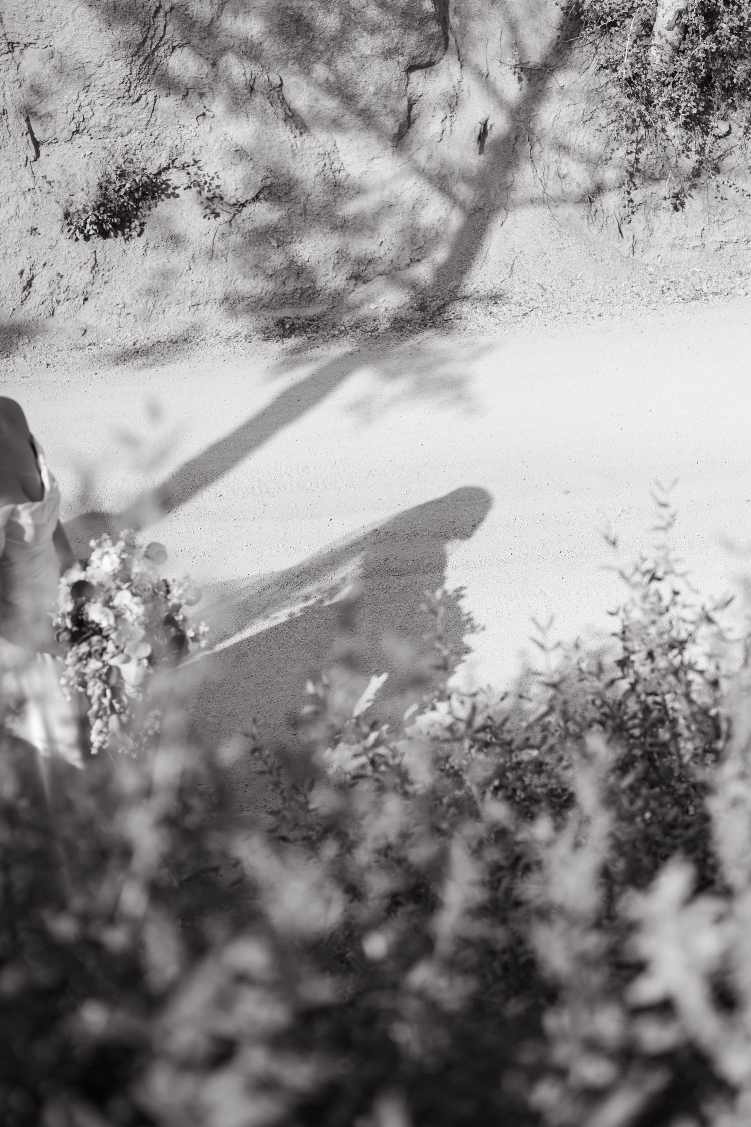 Black and white photograph showing shadows cast on a snowy surface with tree branches visible above.
