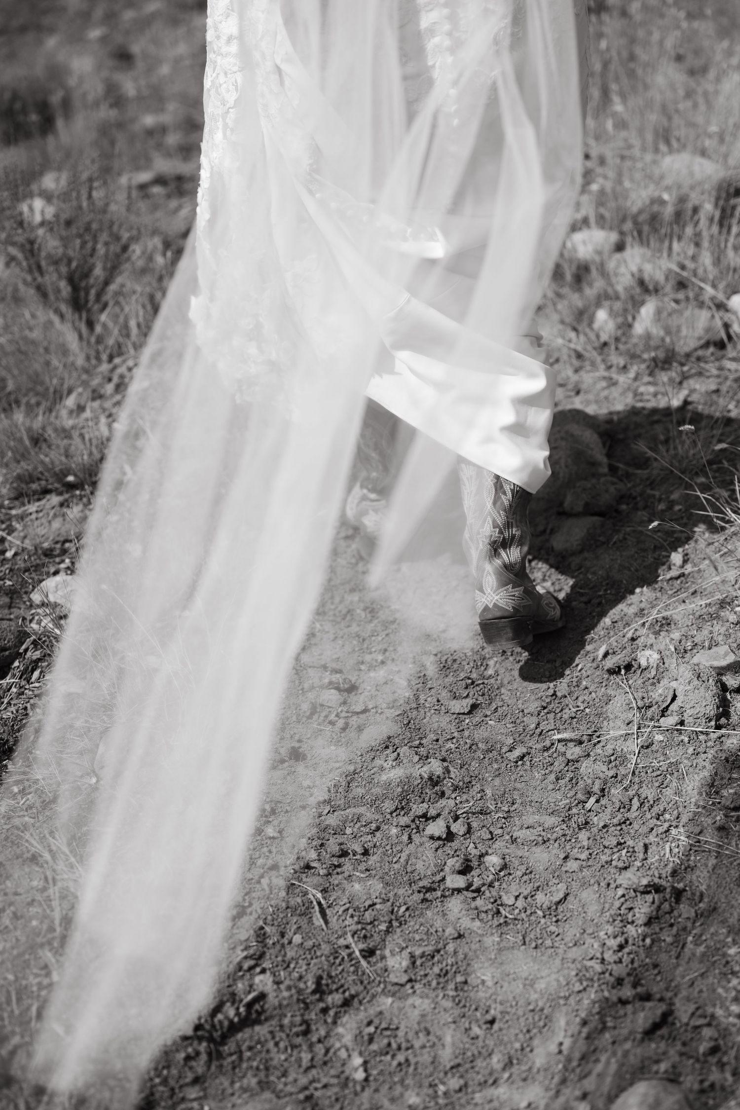 A sequence of black and white photos showing a plastic bottle being buried in dirt and soil.