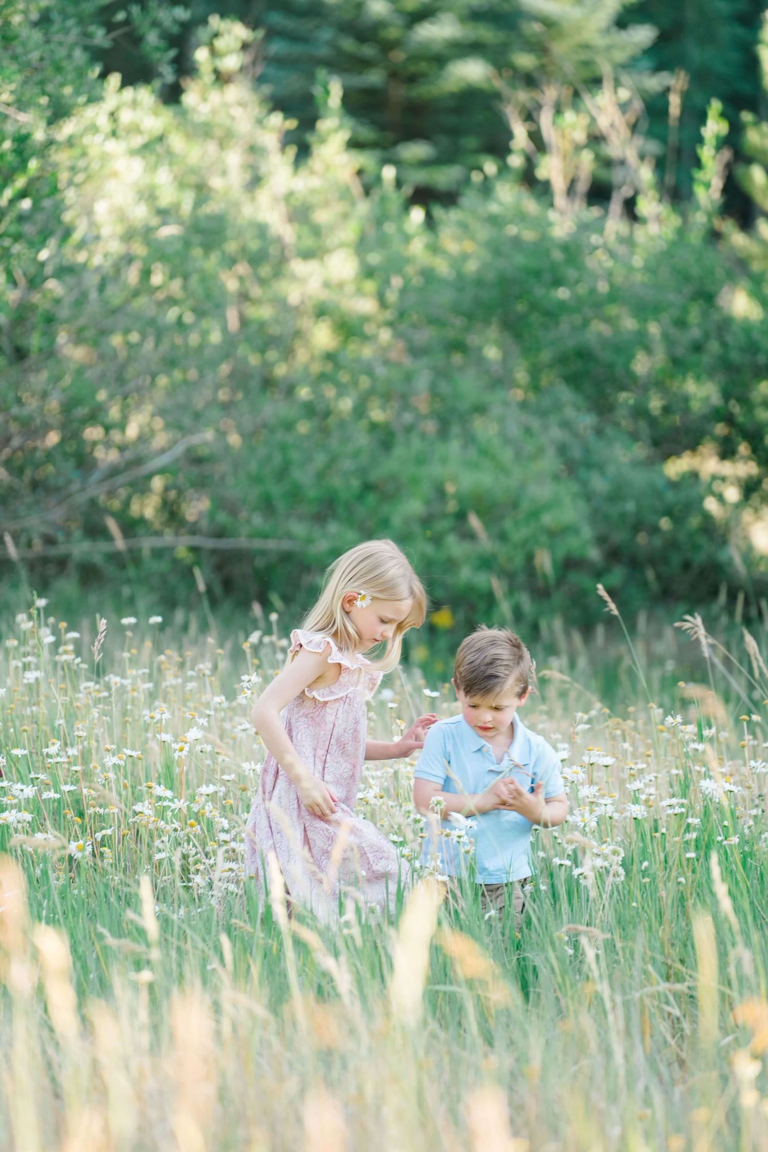 Two young children sit together in a meadow of tall grass and wildflowers on a sunny summer day.