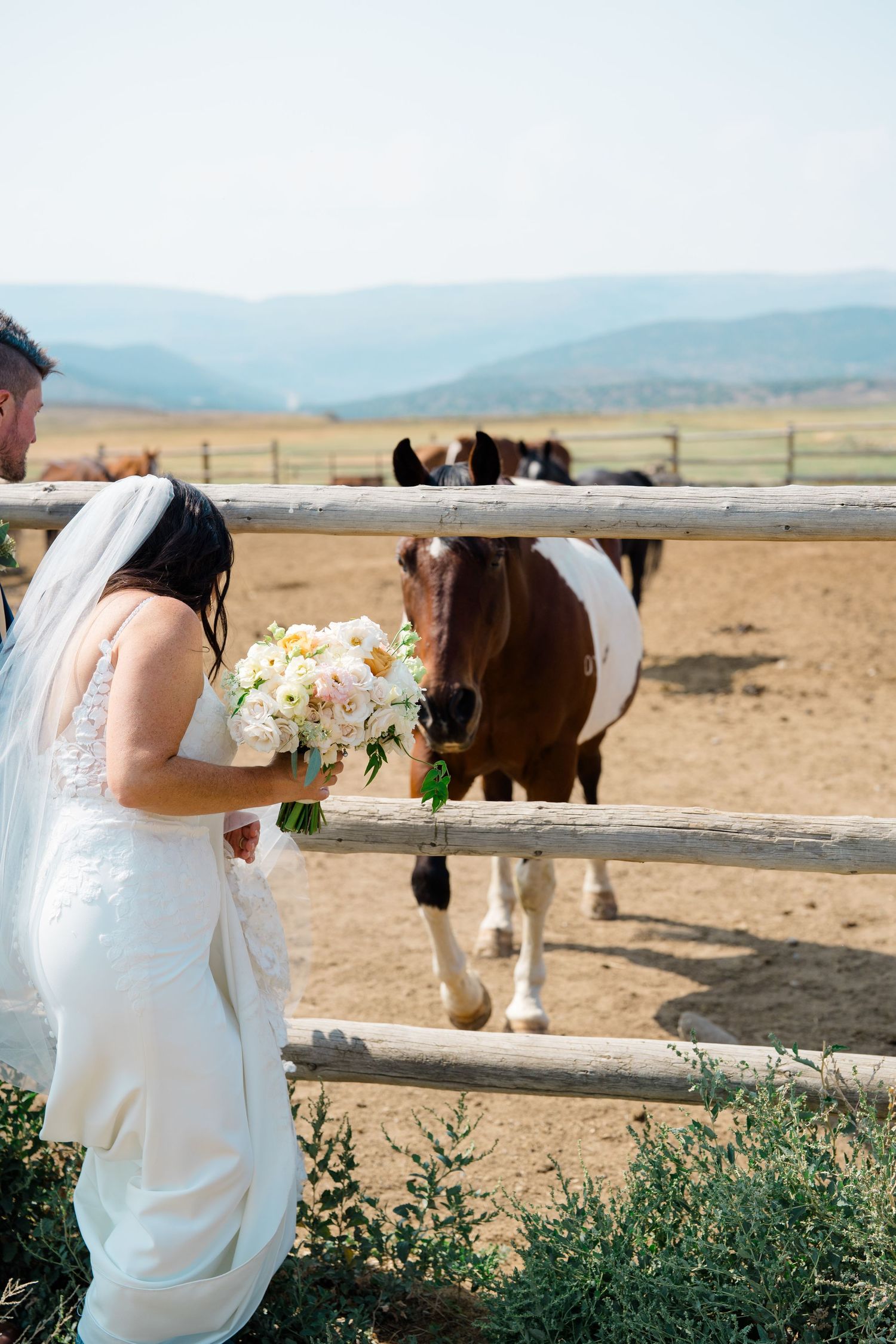A person in a white dress holds a bouquet while horses graze in a fenced pasture with mountains in the background in vail, colorado.