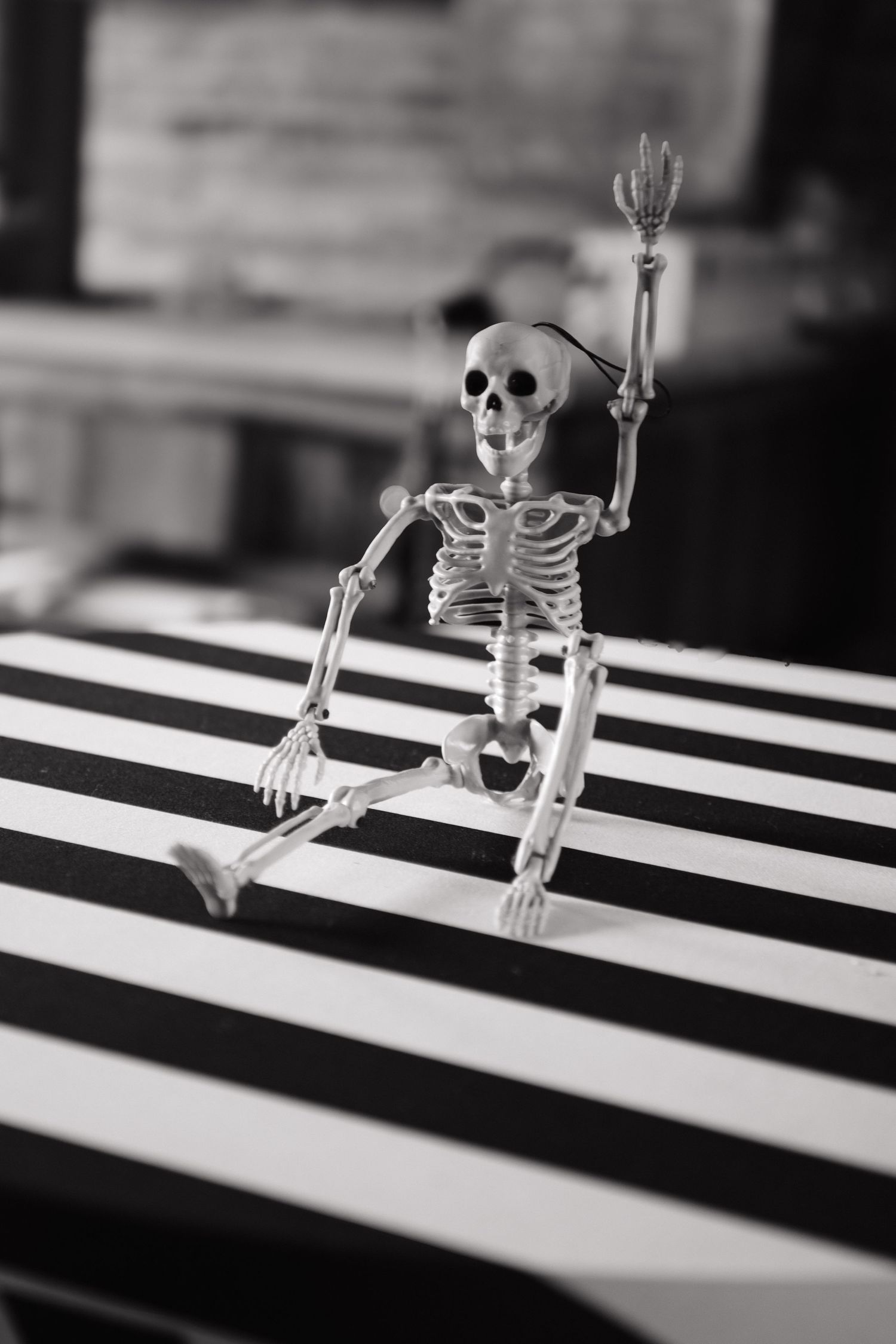 skeleton on table at sugar hollow crossing