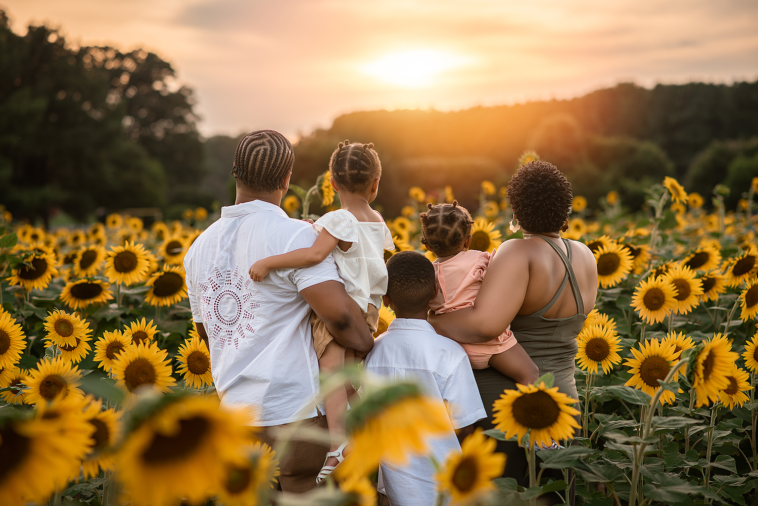 Family session in Raleigh, NC, Sunflower session, Minis, Dorothea Dix Park