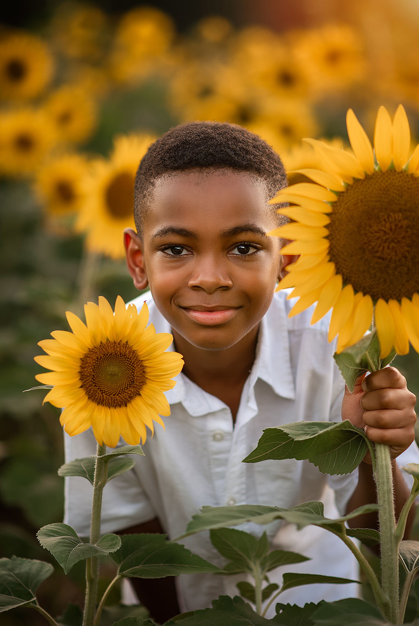 Family session in Raleigh, NC, Sunflower session, Minis, Dorothea Dix Park