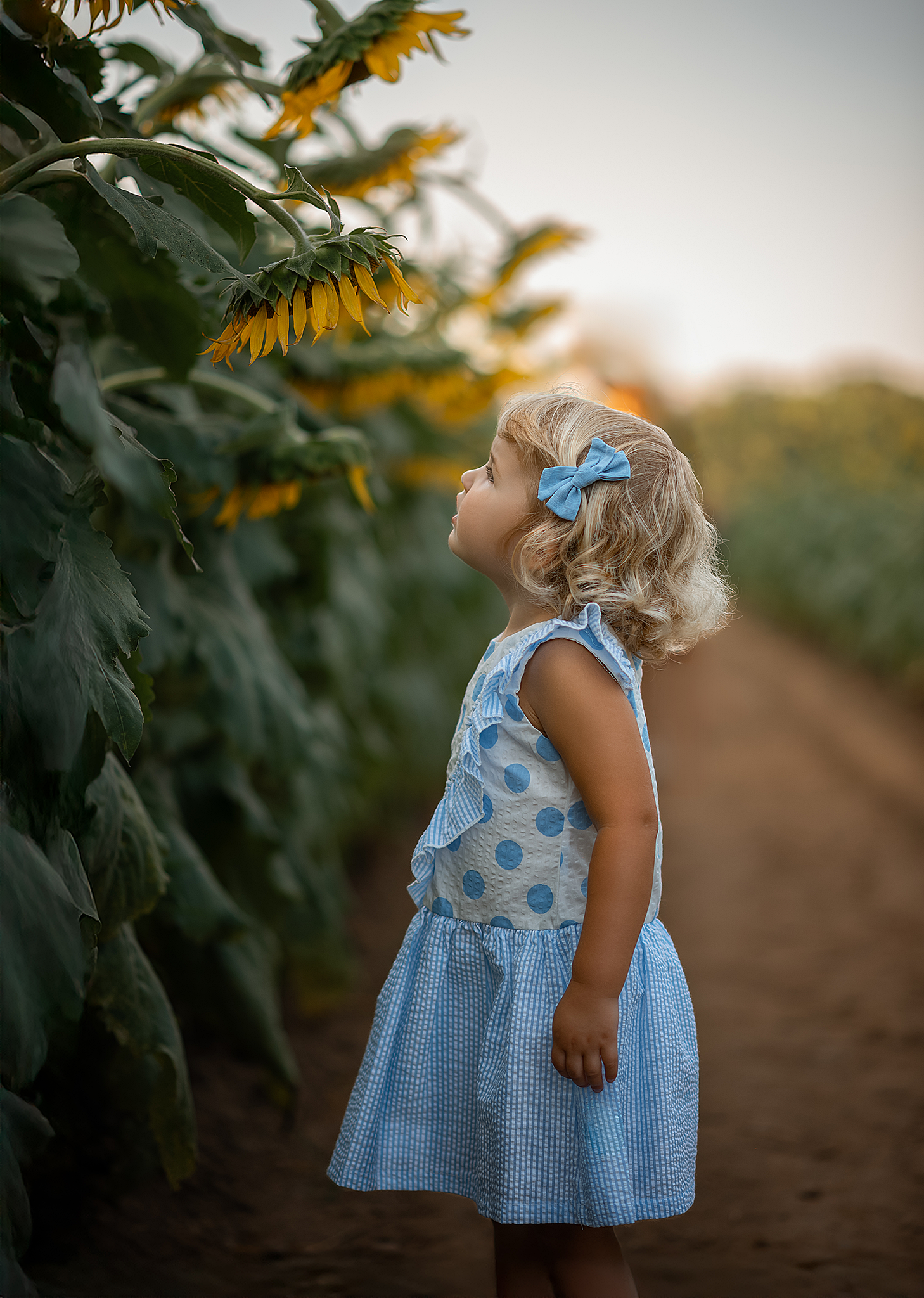 Family session in Raleigh, NC, Sunflower session, Minis, Dorothea Dix Park