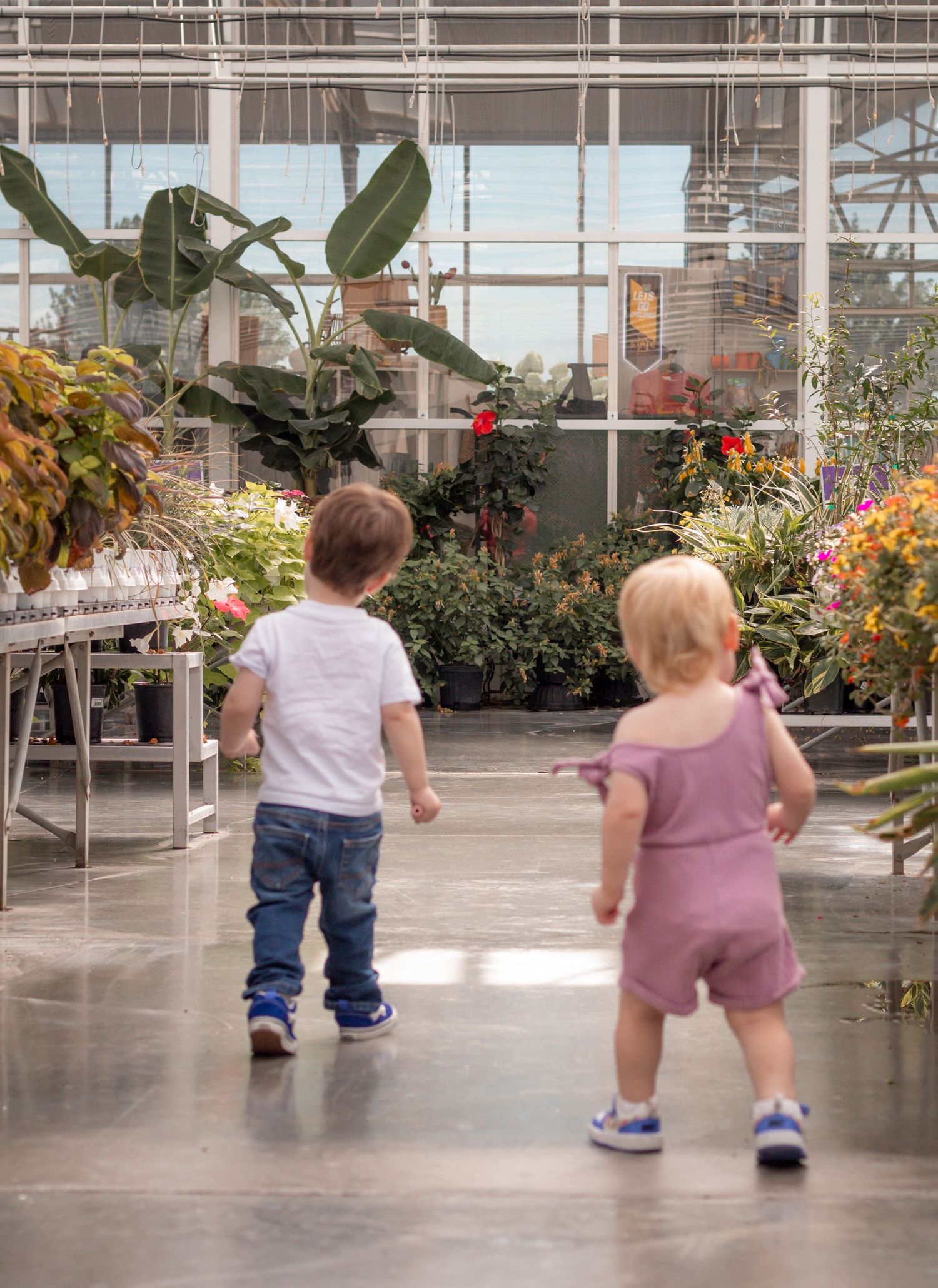 Two toddlers explore a lush greenhouse nursery, walking among colorful plants and flowers on a concrete floor.