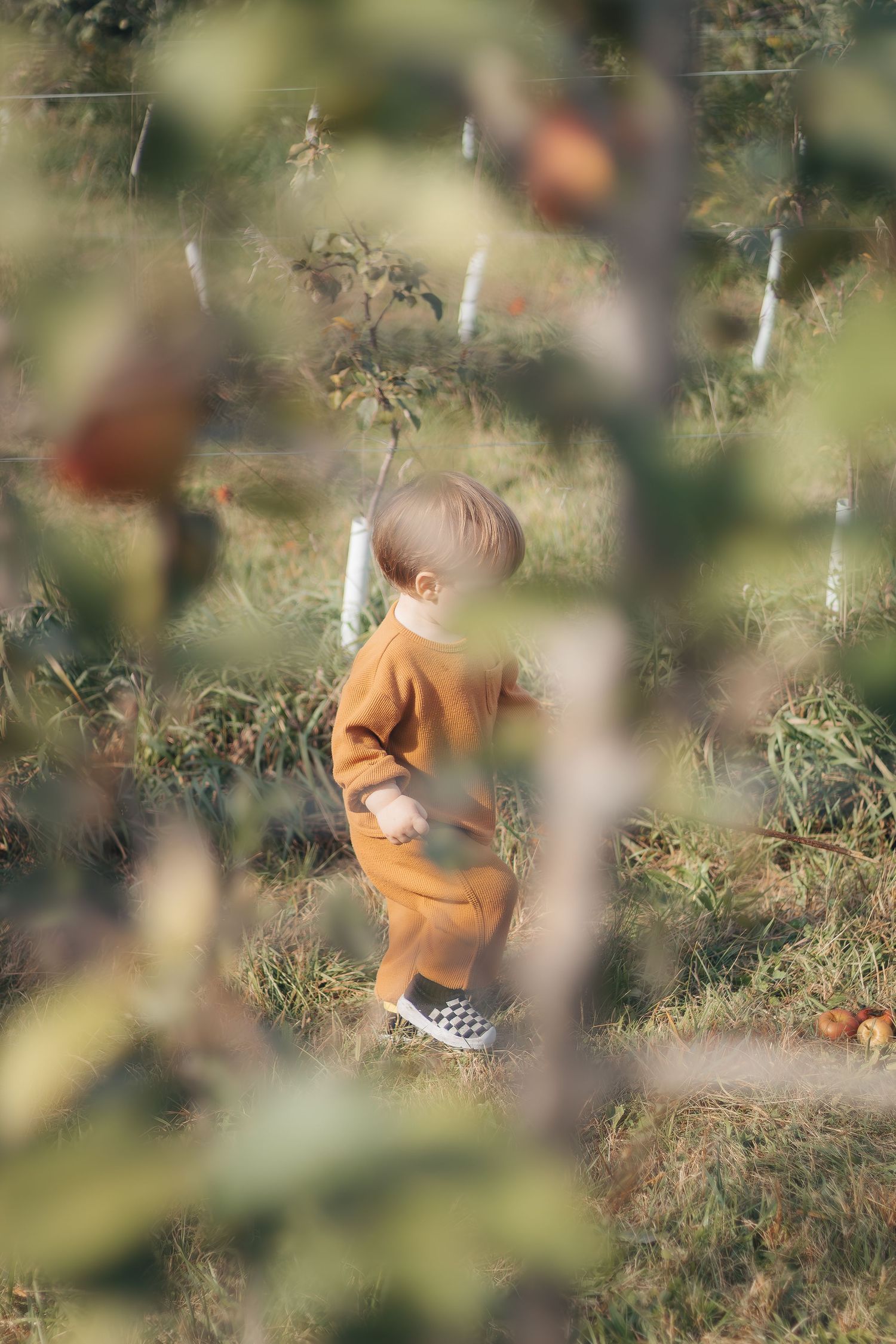 A person in an orange sweater walks through a blurred autumn scene with bokeh leaves in the foreground.