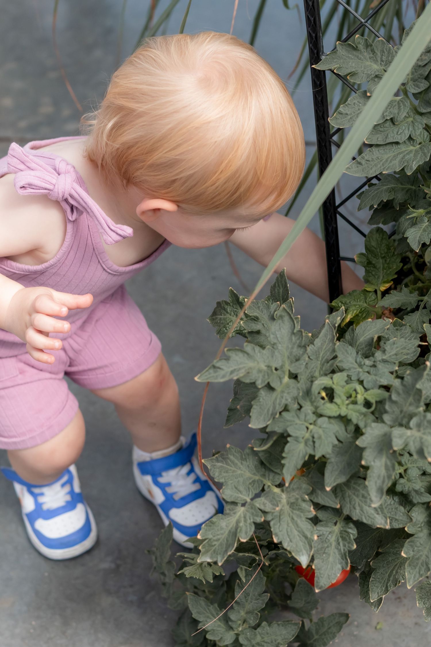 Curious toddler in pink romper and blue sneakers bending down to examine green plant leaves outdoors.