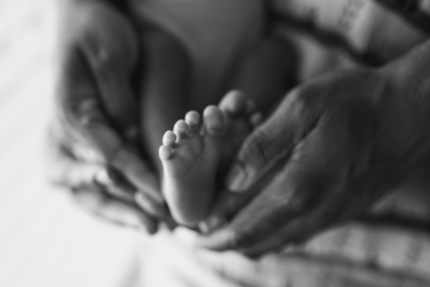 Newborn Lifestyle Black and White session