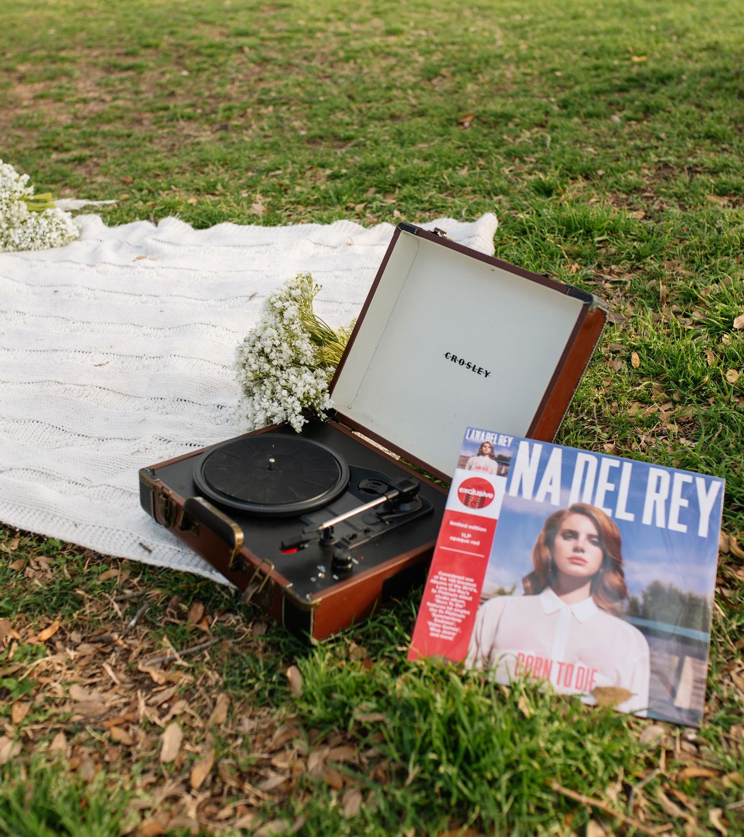 A vintage record player sits on grass with vinyl albums and white flowers scattered around it in an outdoor setting.