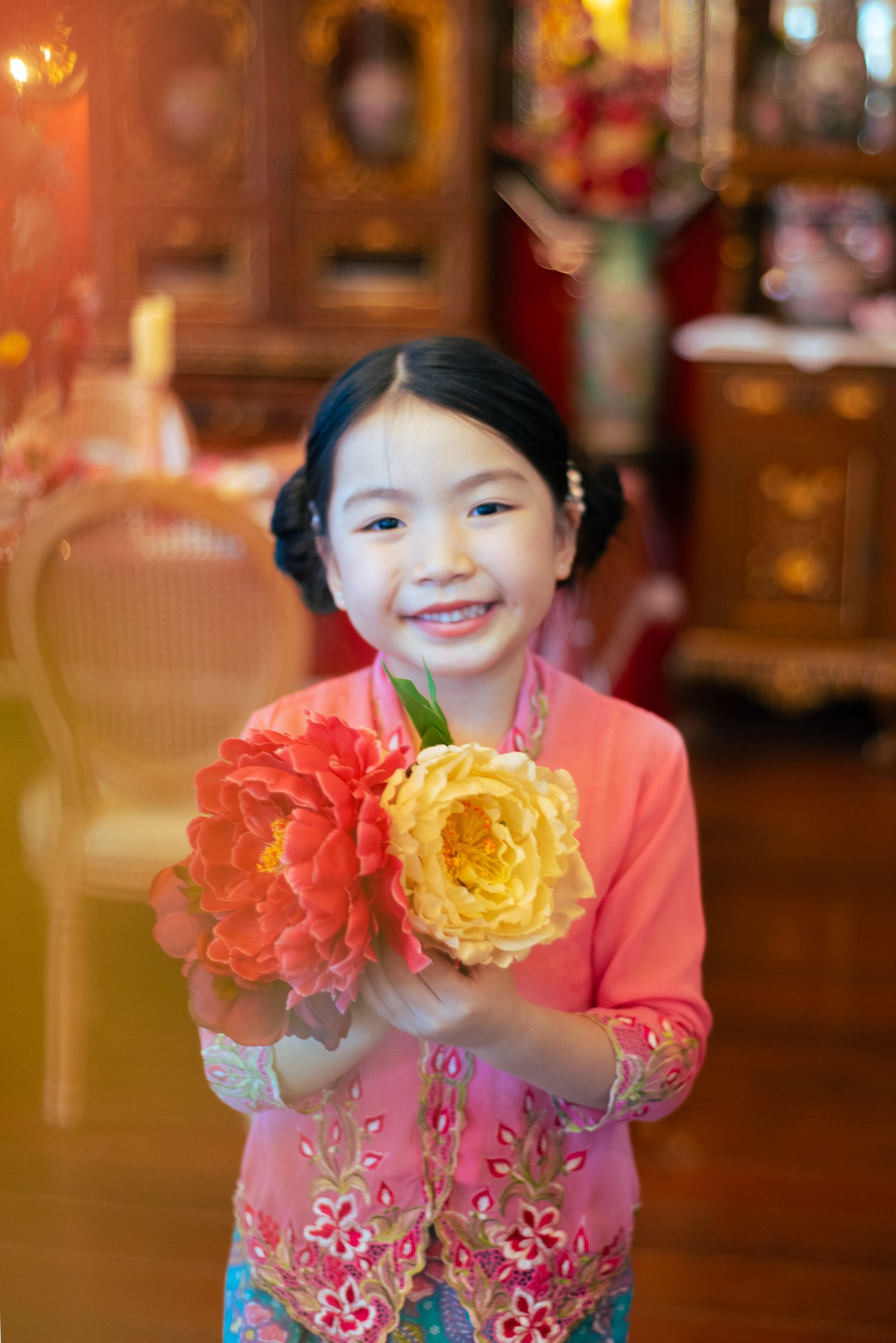 A colorful sequence showing a coral pink and yellow rose flower gradually coming into focus in an indoor setting.