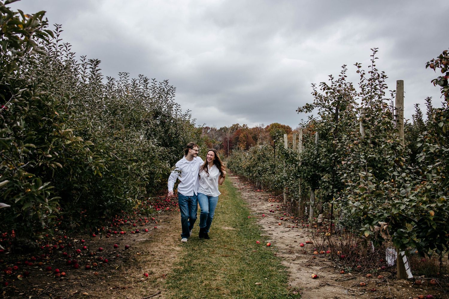 Couple walks hand in hand through rows of apple trees on an autumn day at an orchard under cloudy skies.