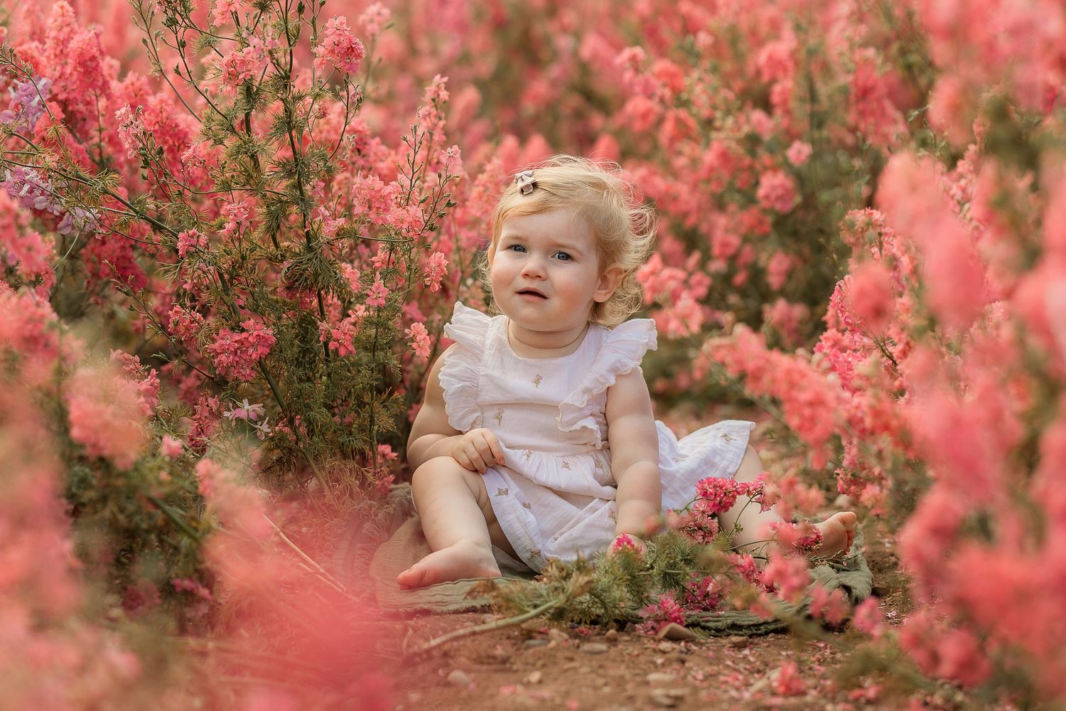 A toddler girl in a white dress sits surrounded by blooming pink flowers in a lush garden setting.