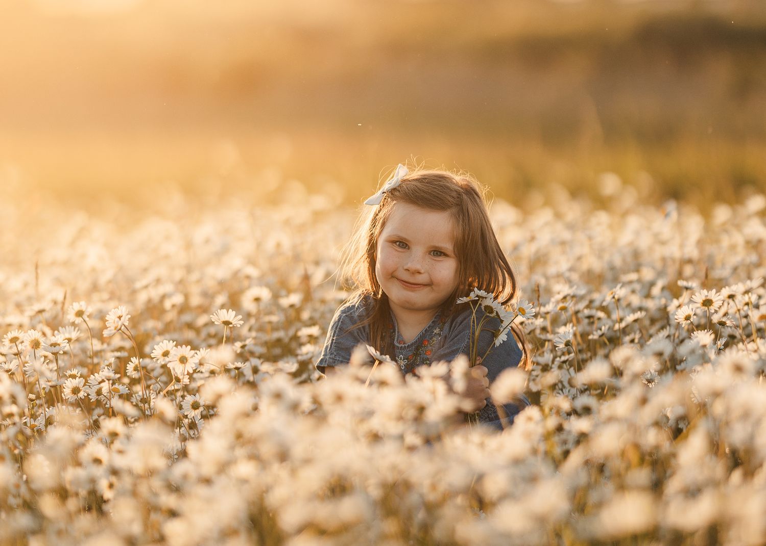 A person sits among a golden field of dandelions at sunset creating a dreamy backlit scene in nature.