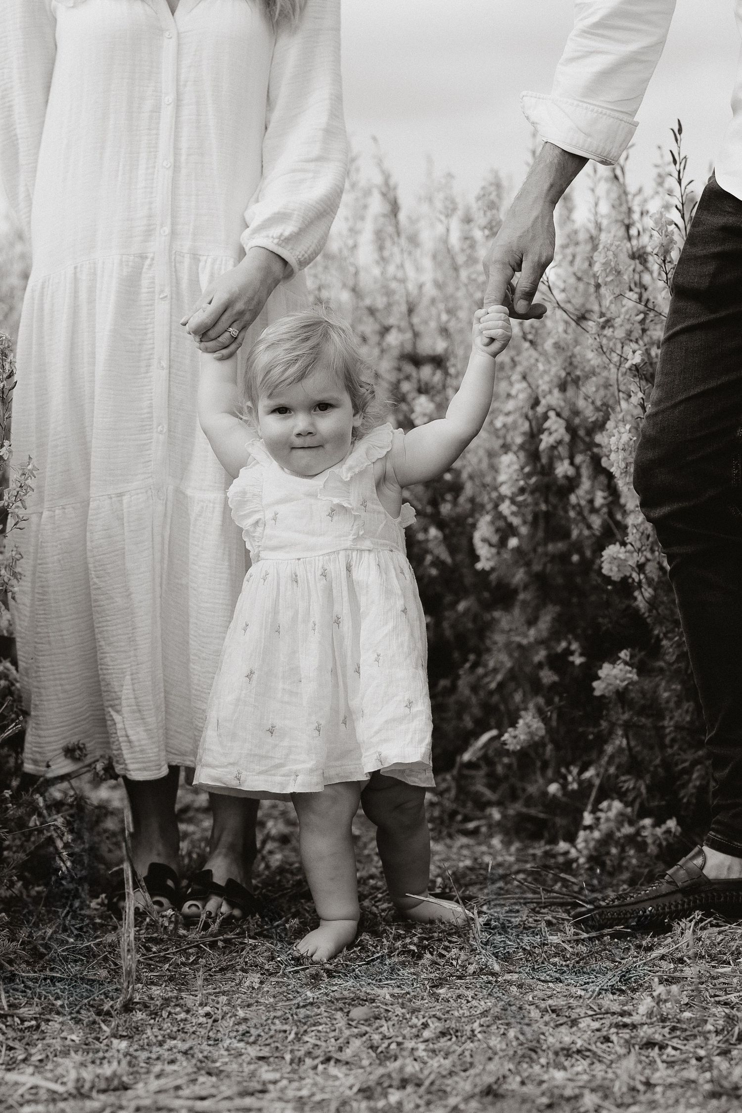 Black and white series of a toddler in a white dress walking through a garden with an adult holding their hand.