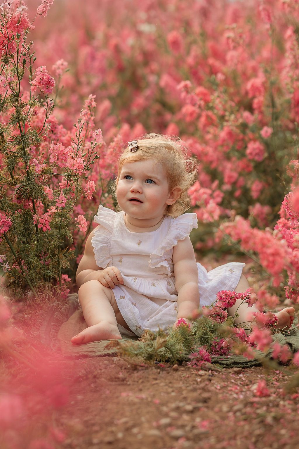 Toddler girl in white dress sitting among pink blooming flowers in a garden, looking up with blue eyes.