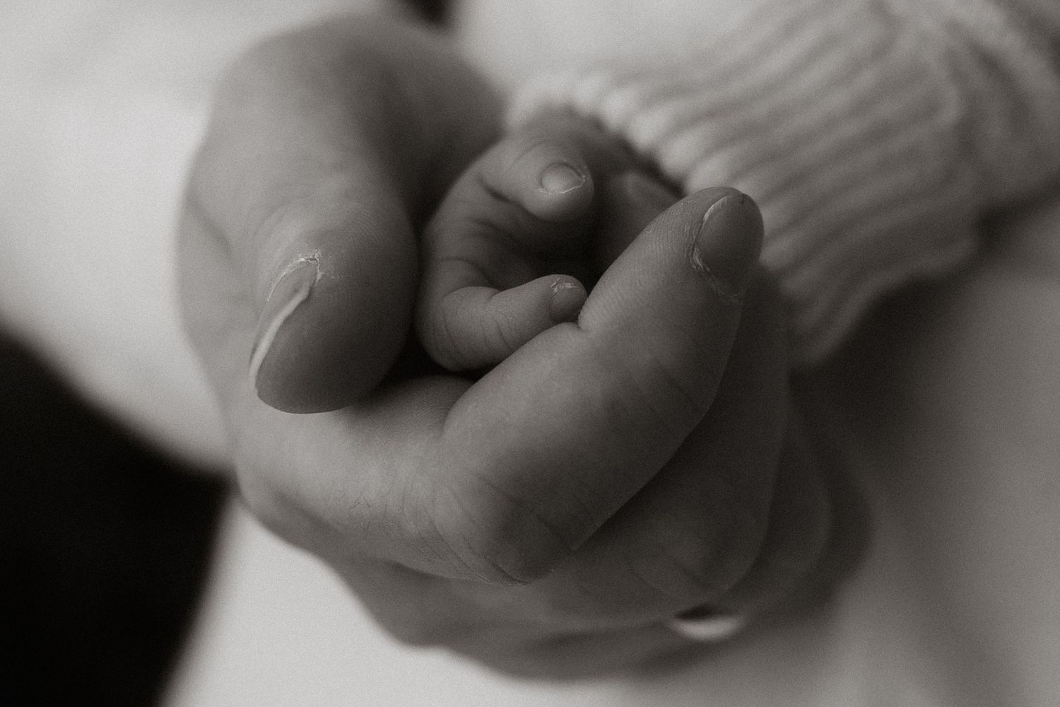 A series of black and white close-up photographs showing hands holding each other in tender, intimate gestures.