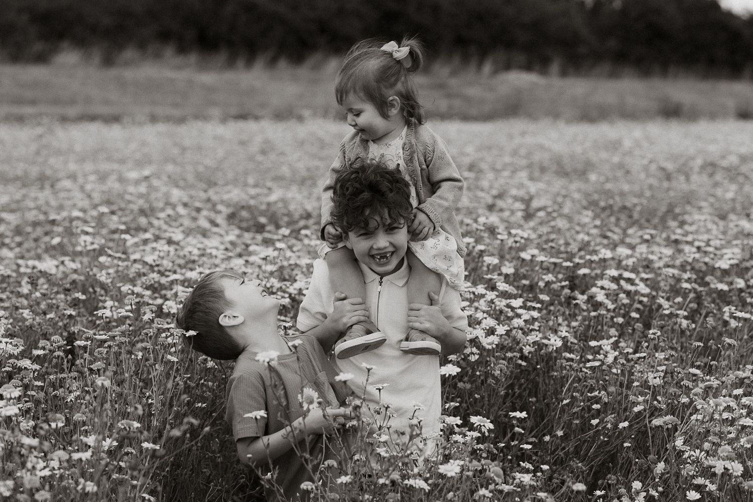 A person sits in a blooming daisy field picking wildflowers on a summer day.