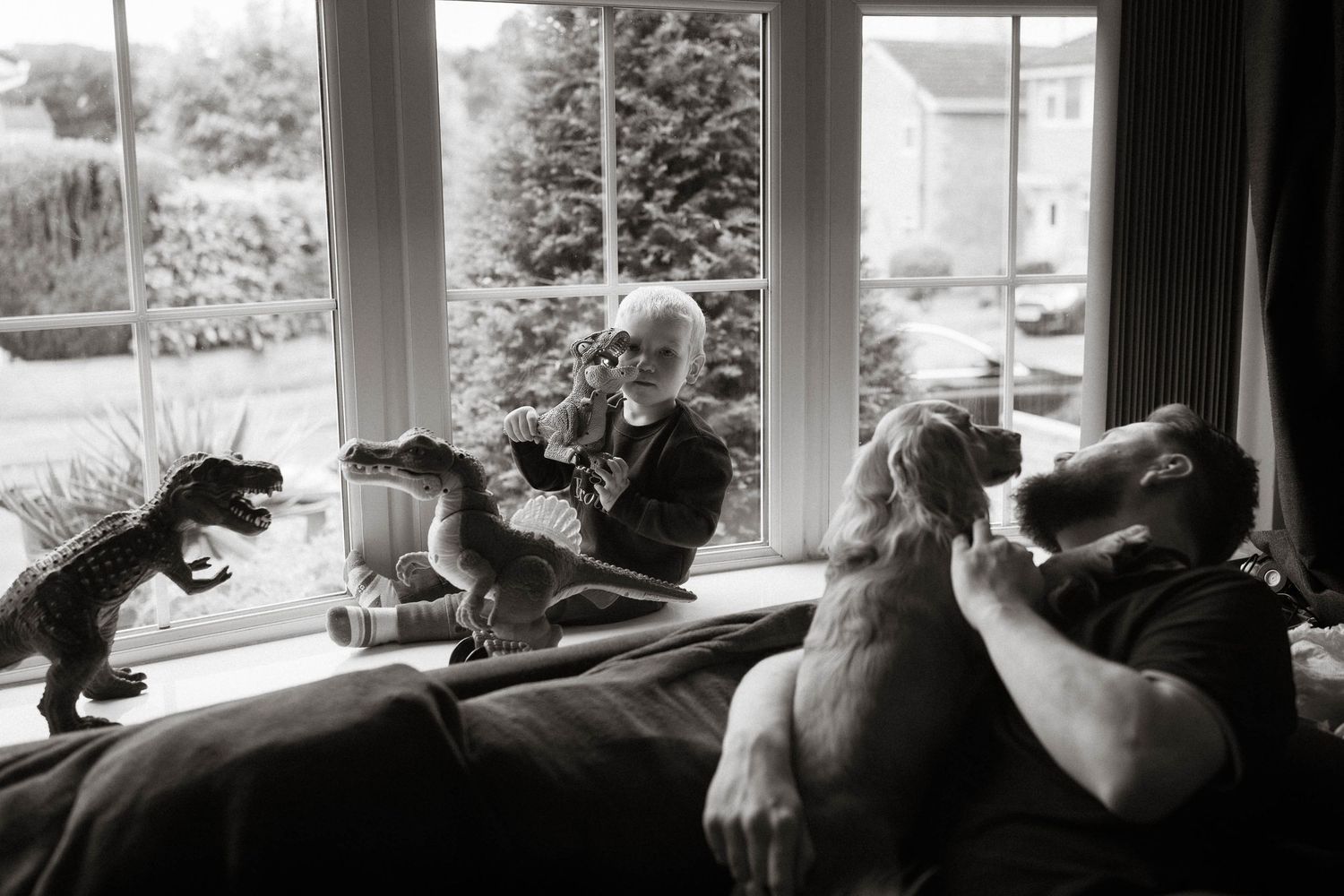 A series of black and white photos showing a cat lounging in different positions by a sunny window.