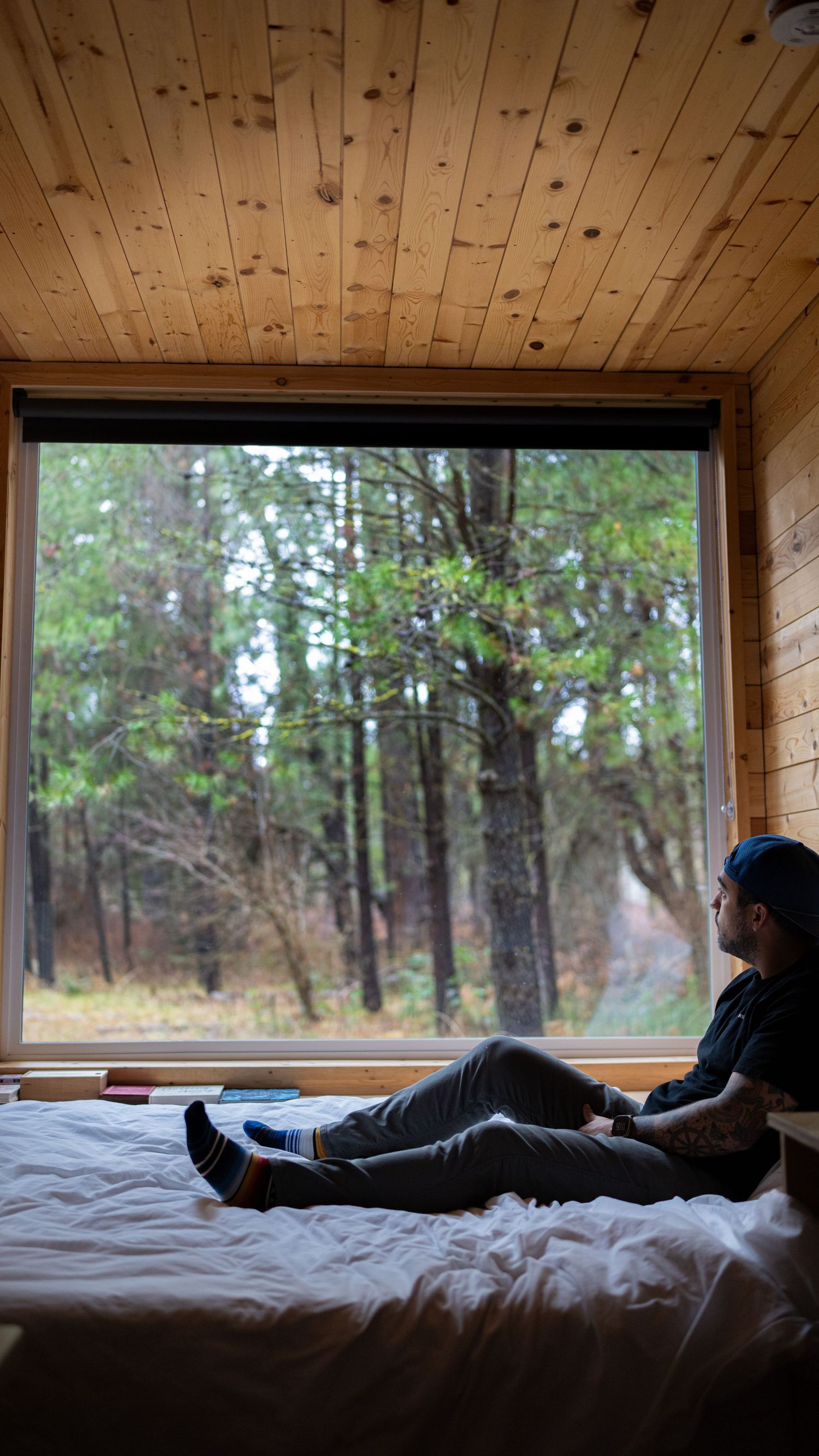 Person with tattoos relaxing on a bed looking out a large cabin window surrounded by pine forest.