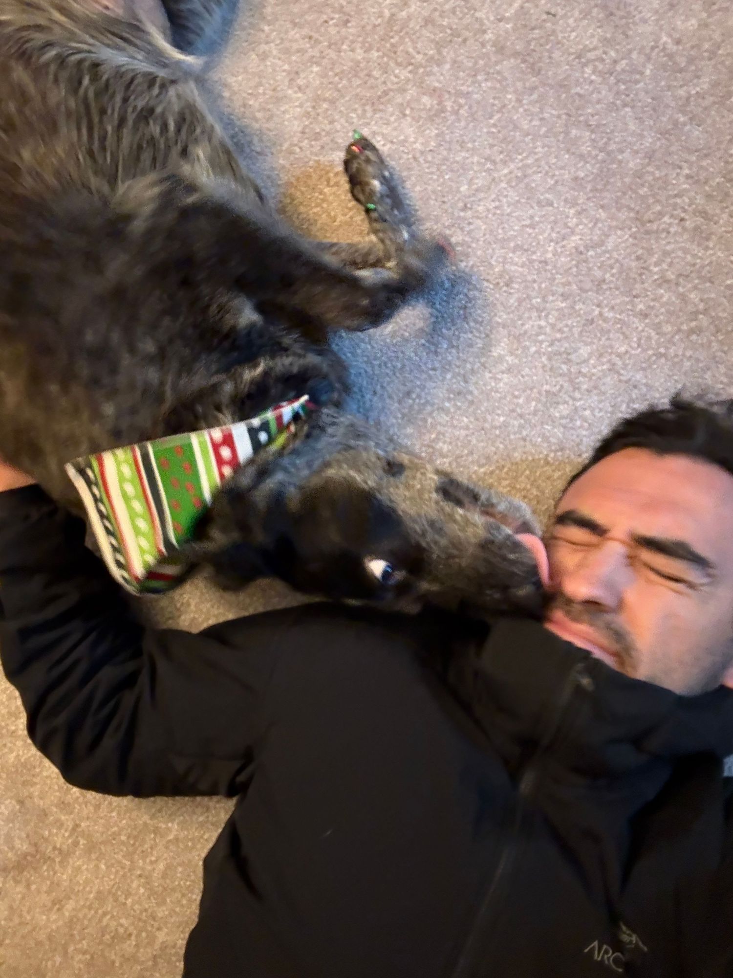 Man lying on floor playfully interacting with a dark-colored dog wearing a festive collar.
