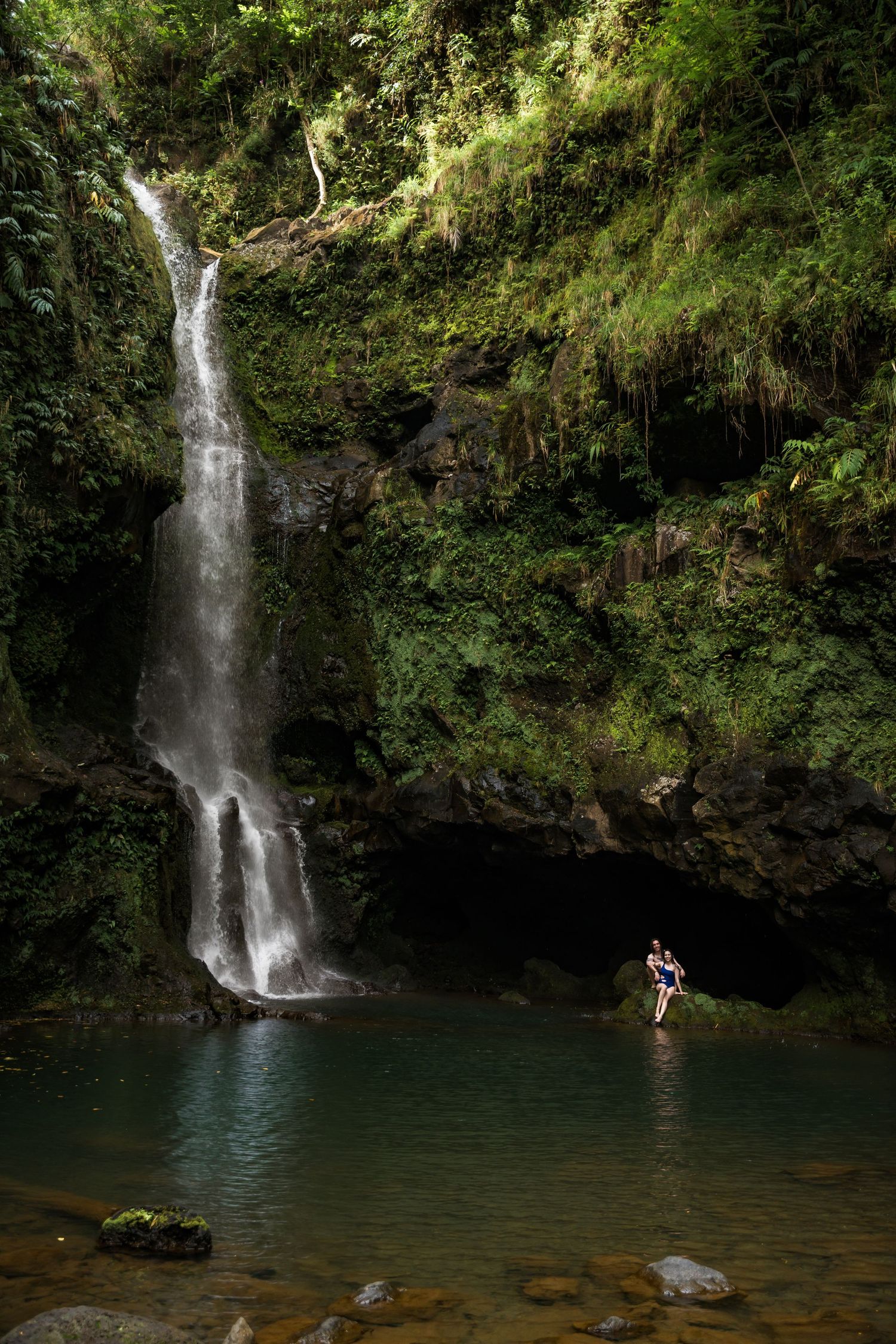 Majestic waterfall cascades into a serene swimming hole surrounded by tropical vegetation.