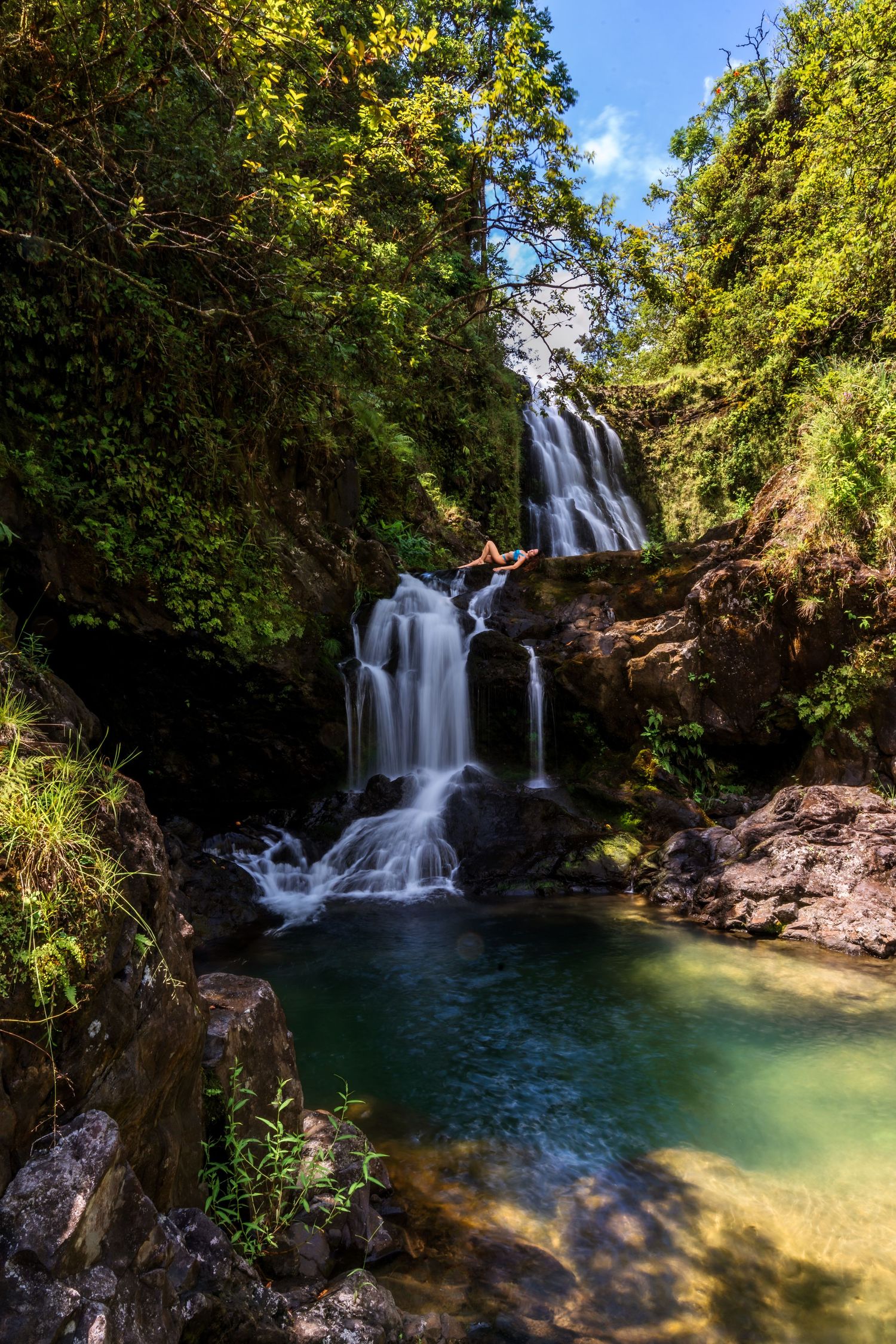 Cascading waterfall flows into turquoise pool surrounded by lush forest.