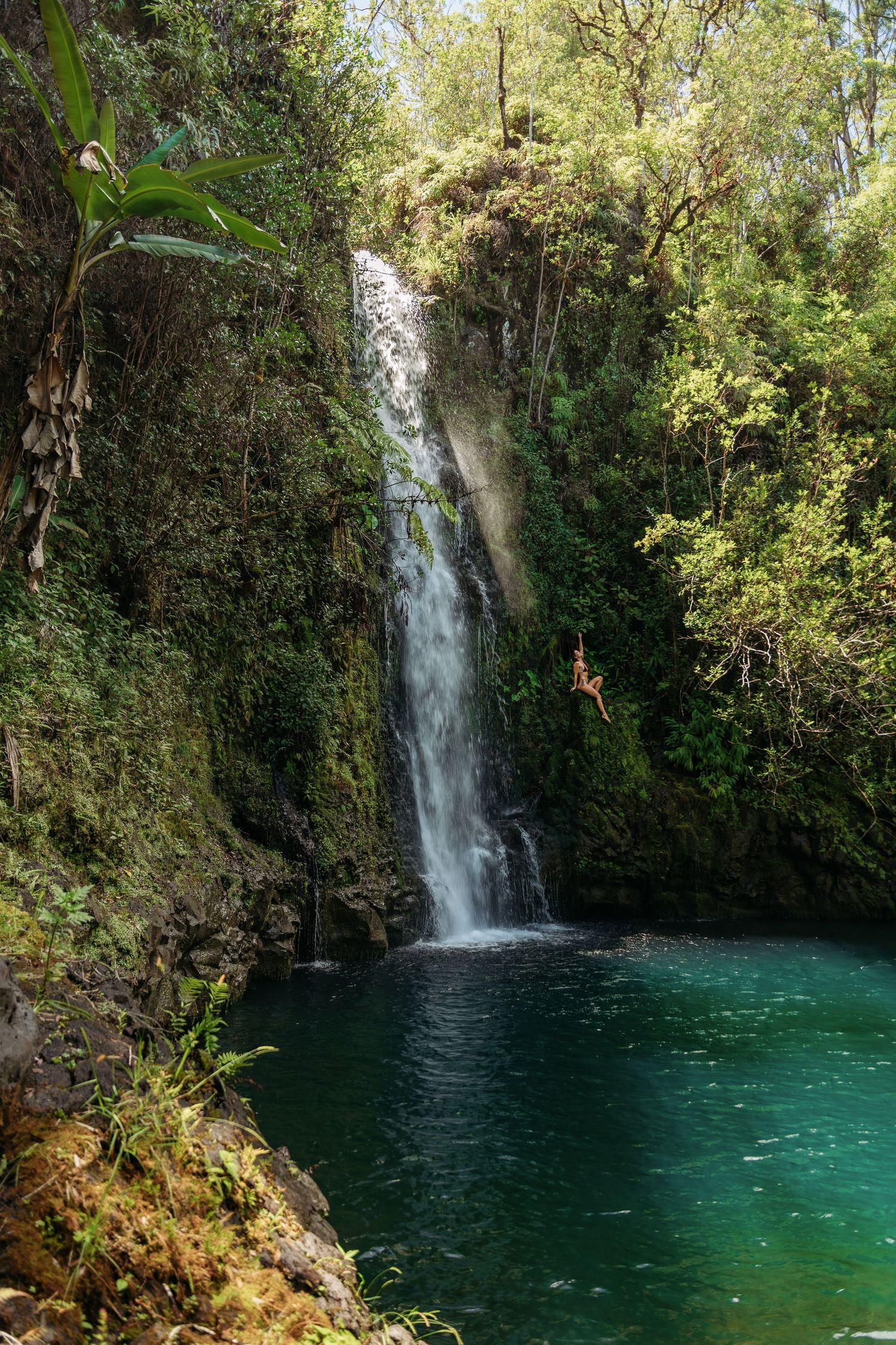 Tall waterfall plunges into emerald green swimming hole in tropical forest setting.