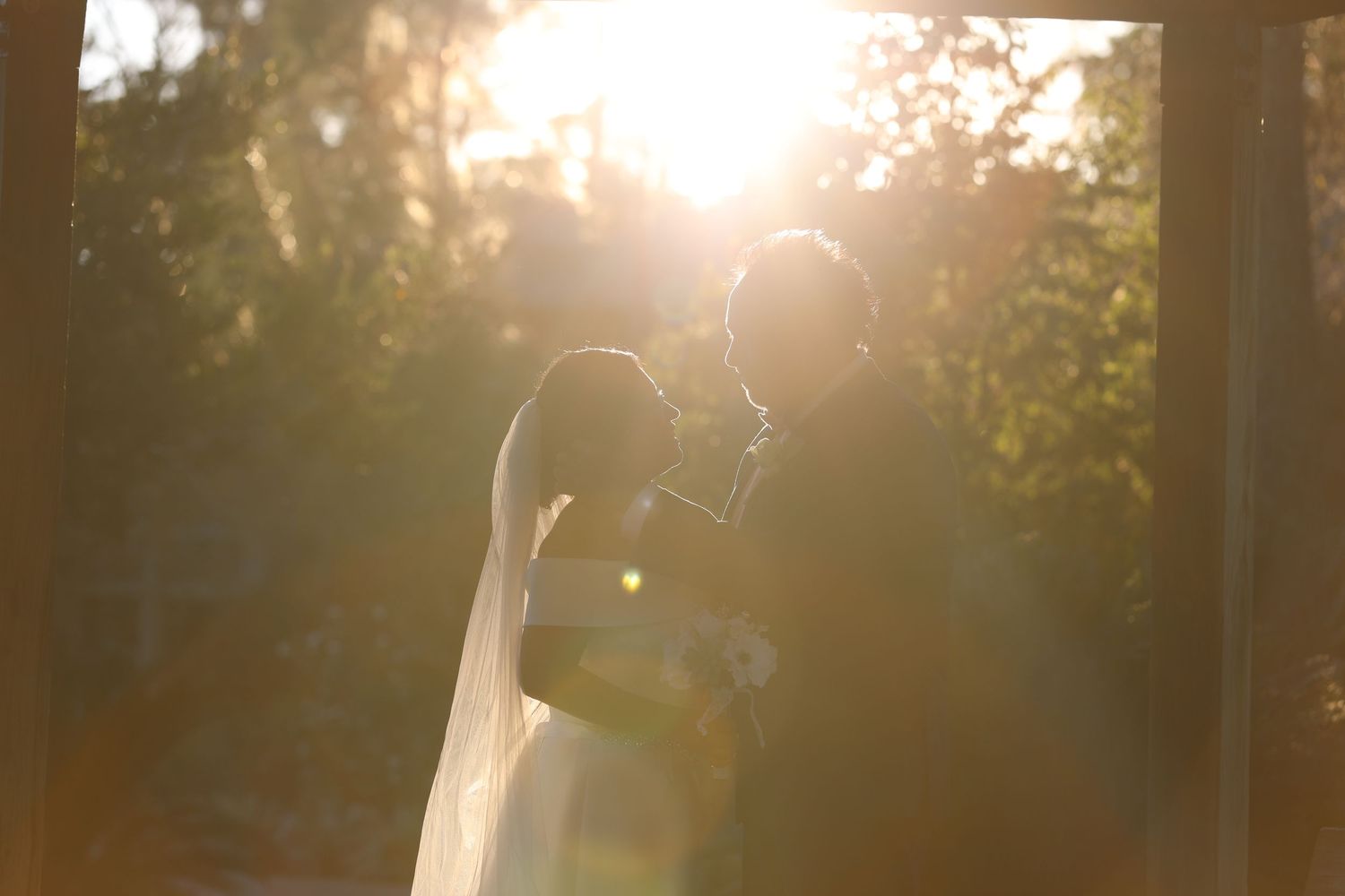 Romantic sunset silhouette with golden sunlight streaming through trees.