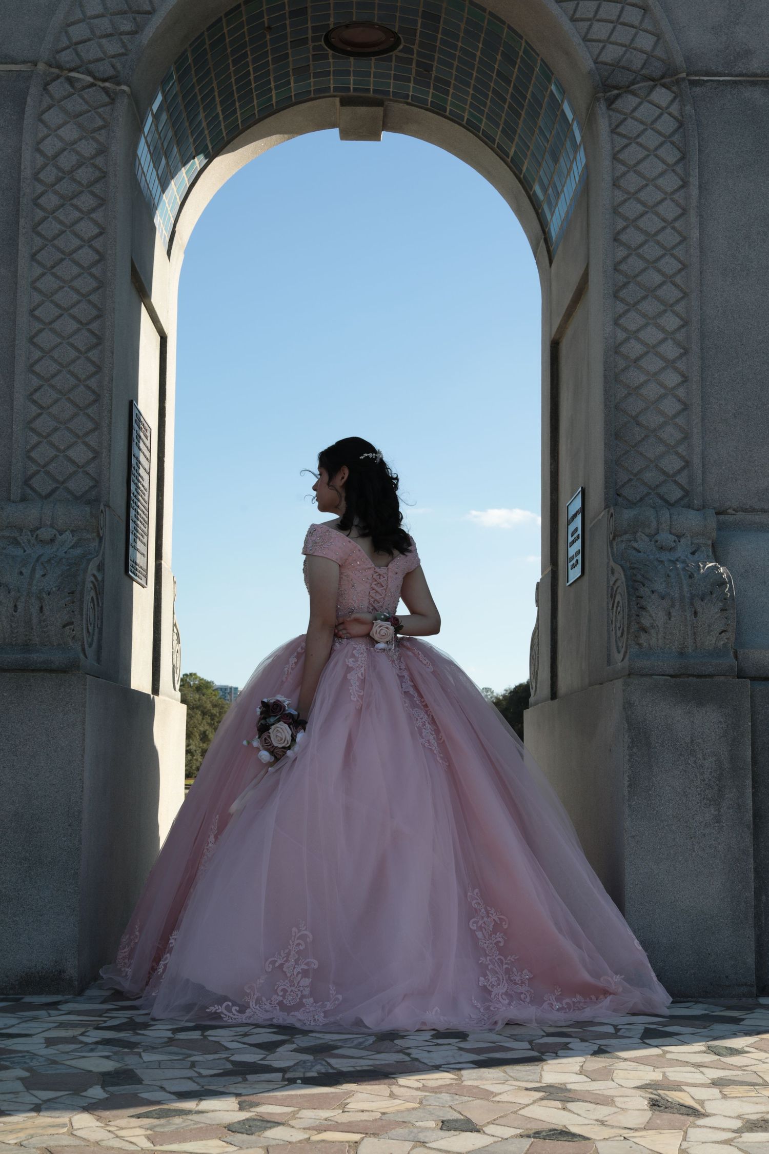 A silhouette of a person in a pink ballgown stands framed by an ornate stone archway.