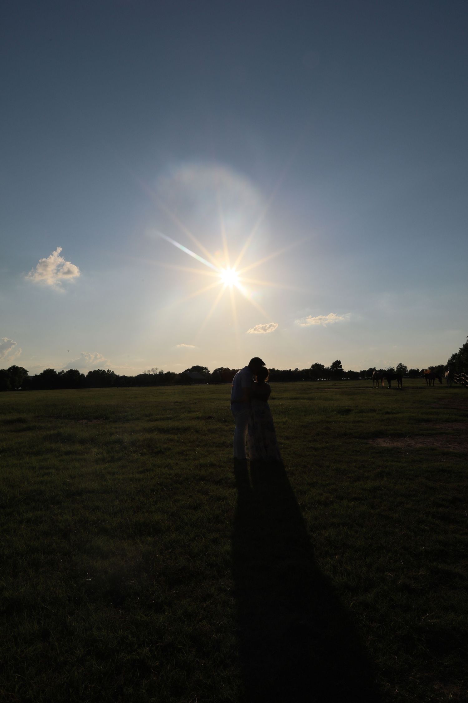 A silhouette stands in a field against a bright sun creating a starburst effect in the sky.