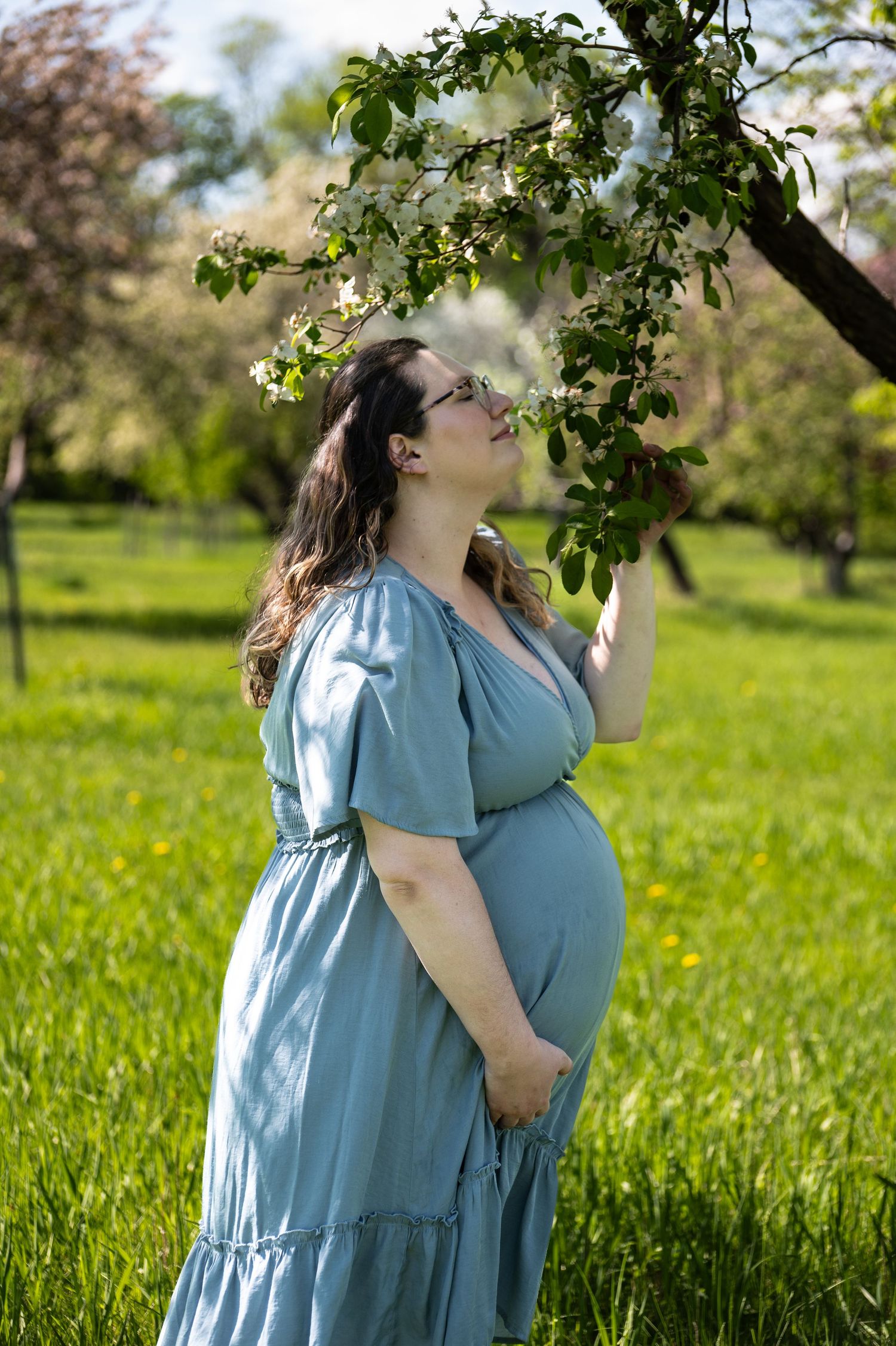 Expecting mother in blue dress smelling spring blossoms in sunny orchard.