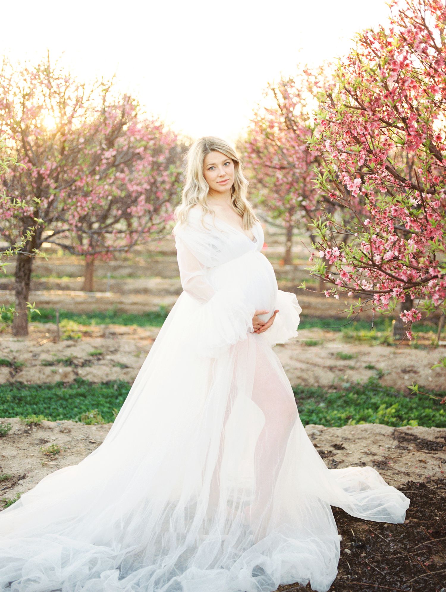 Pregnant woman in flowing white tulle gown posing among pink blossoming orchard trees at sunset.