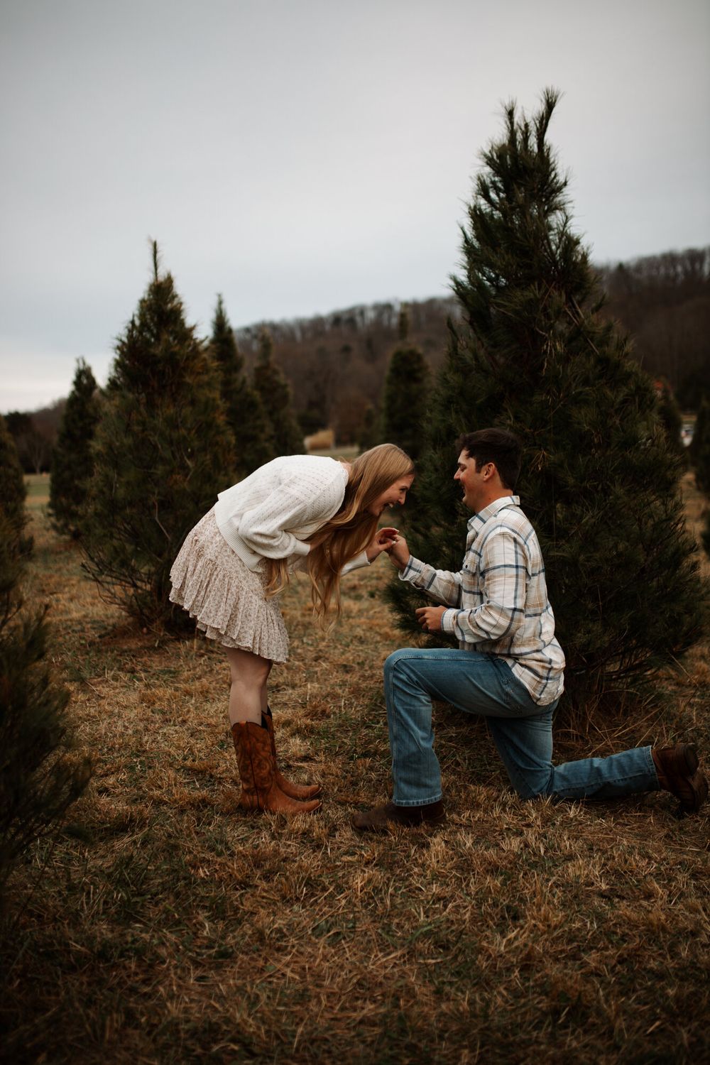 A surprise proposal among rows of Christmas trees