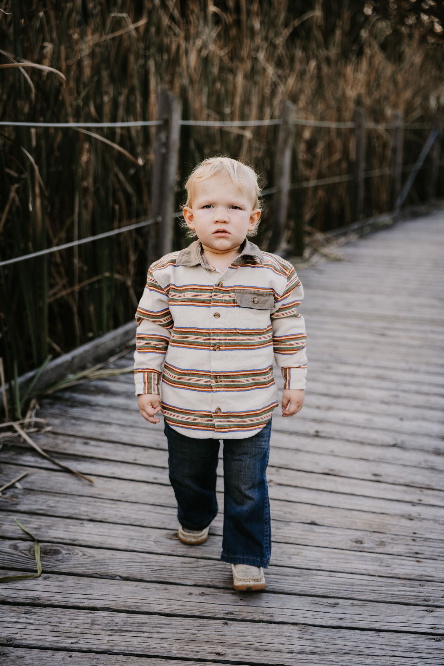 A blond toddler in a striped button-up shirt and jeans walks along a weathered wooden boardwalk beside tall reeds.