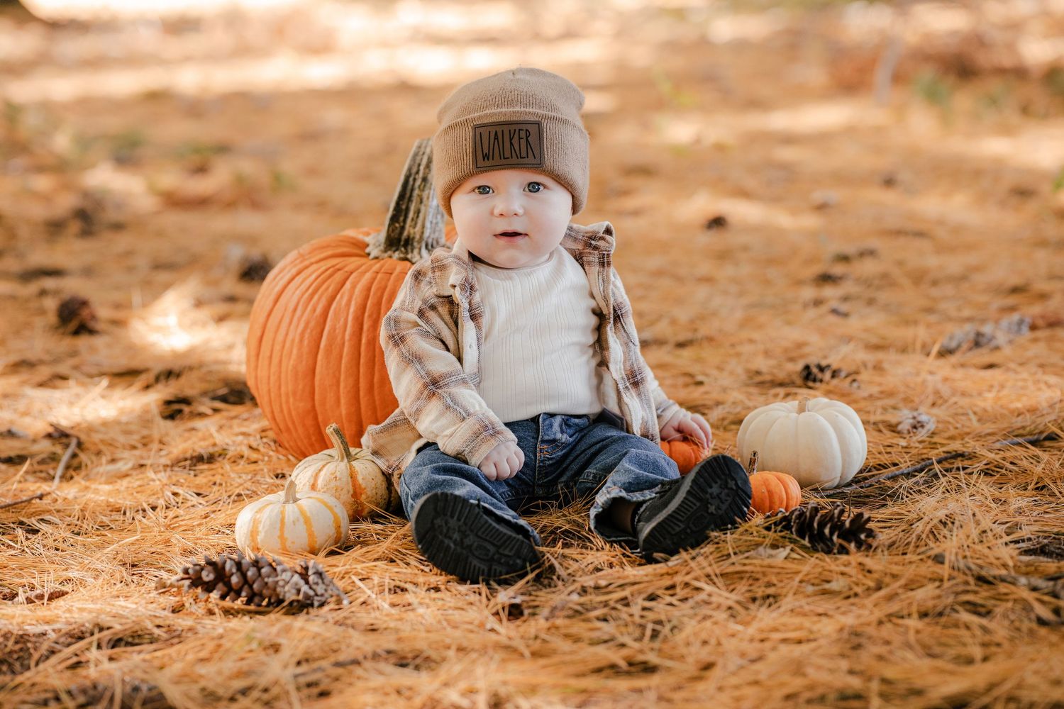 Baby in a knit beanie, plaid flannel and jeans sits on pine needles beside a large orange pumpkin and small white pumpkins.