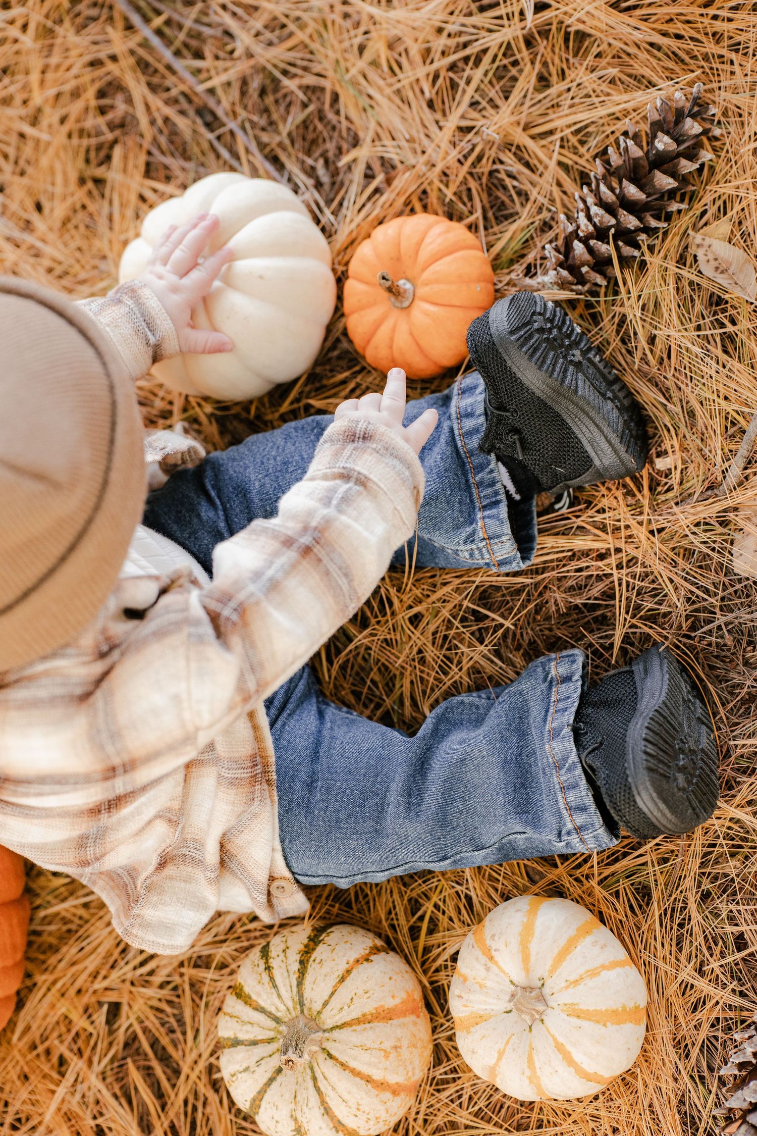 Overhead view of a baby in jeans and black boots reaching for white and orange mini pumpkins on pine needles with a pine cone.