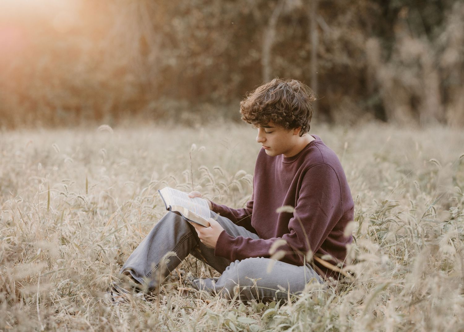 Young man in a maroon sweatshirt sits in tall golden grass reading an open book in warm, glowing sunset light.